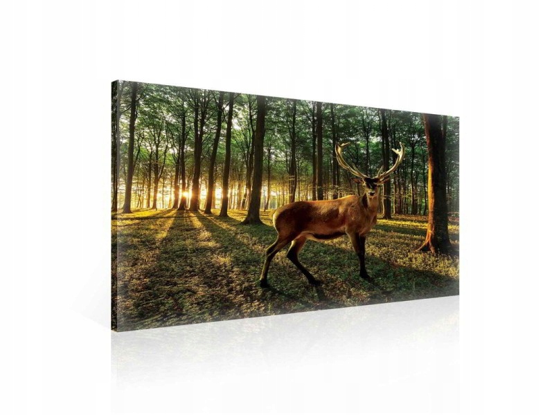 Obraz 100x75 Les jelen sluneční paprsky příroda klid harmonie magie