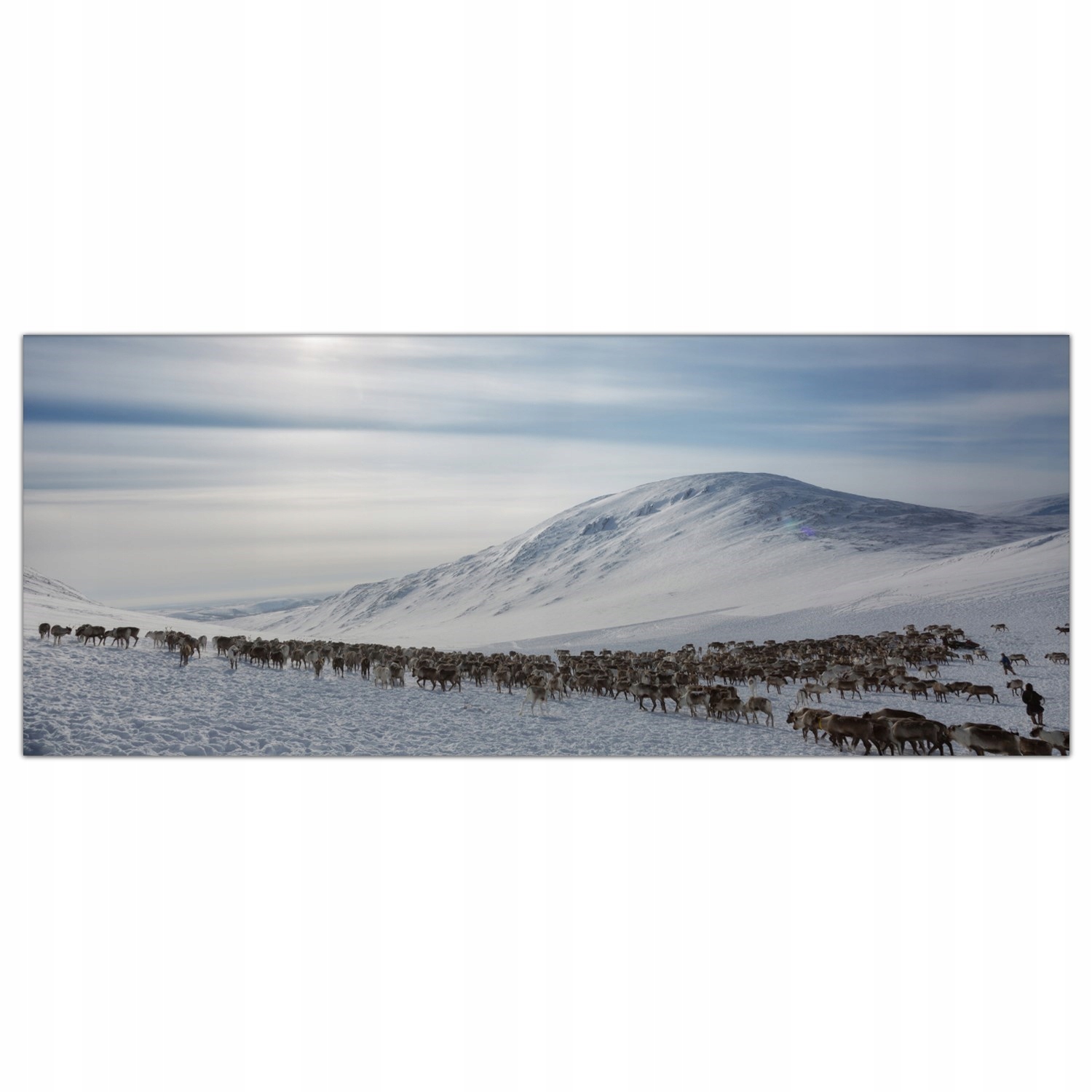 Sobové Zima Zvířata 125x50 Lacobel do kuchyně