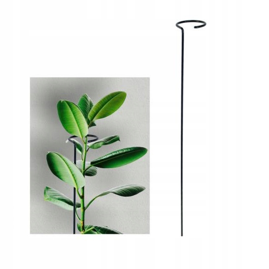

Podpora Pojedyncza Do Roślin Kwiatów H60 cm