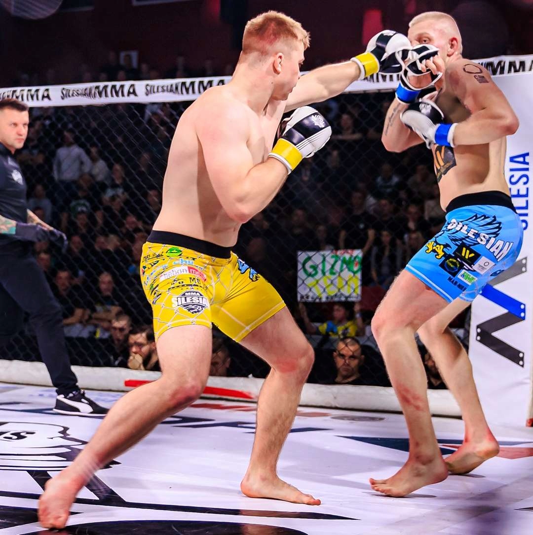 RĘKAWICE MMA KRAV MAGA TRENINGOWE CHWYTNE PIANKA DŁUGI RZEP BUSHIDO L/XL Model ARM-2011A