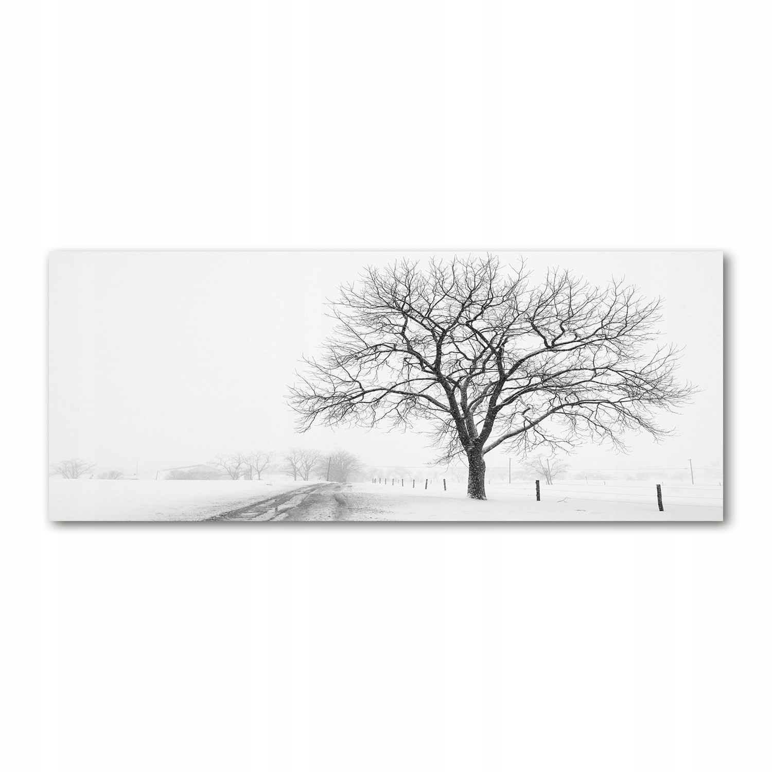 

Foto obraz na szkle akrylowym Drzewo zimą 125x50cm