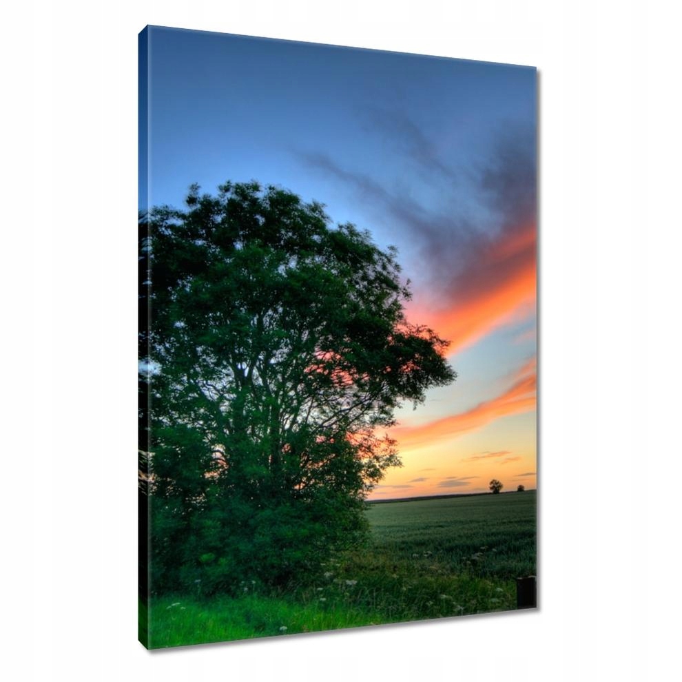 

Obrazy 80x120 Płonące niebo
