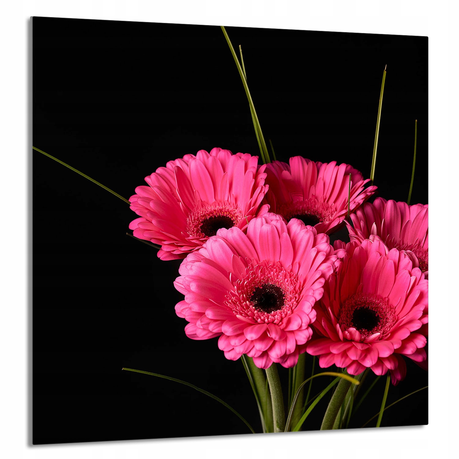 Skleněný Panel Do Kuchyně 60x65 Gerbera Tvrzené Sklo