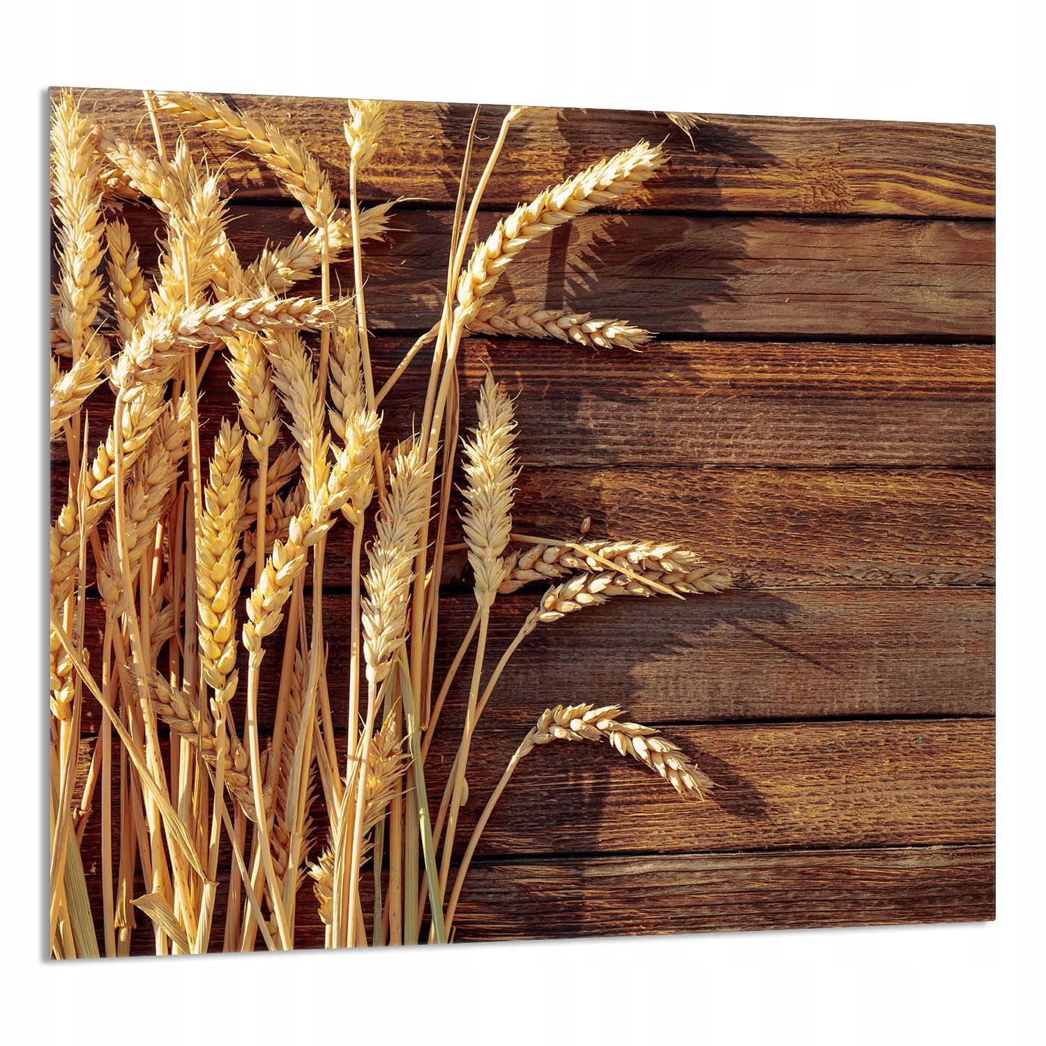 Skleněný Panel Do Kuchyně 65x60 Pšenice Tvrzené Sklo