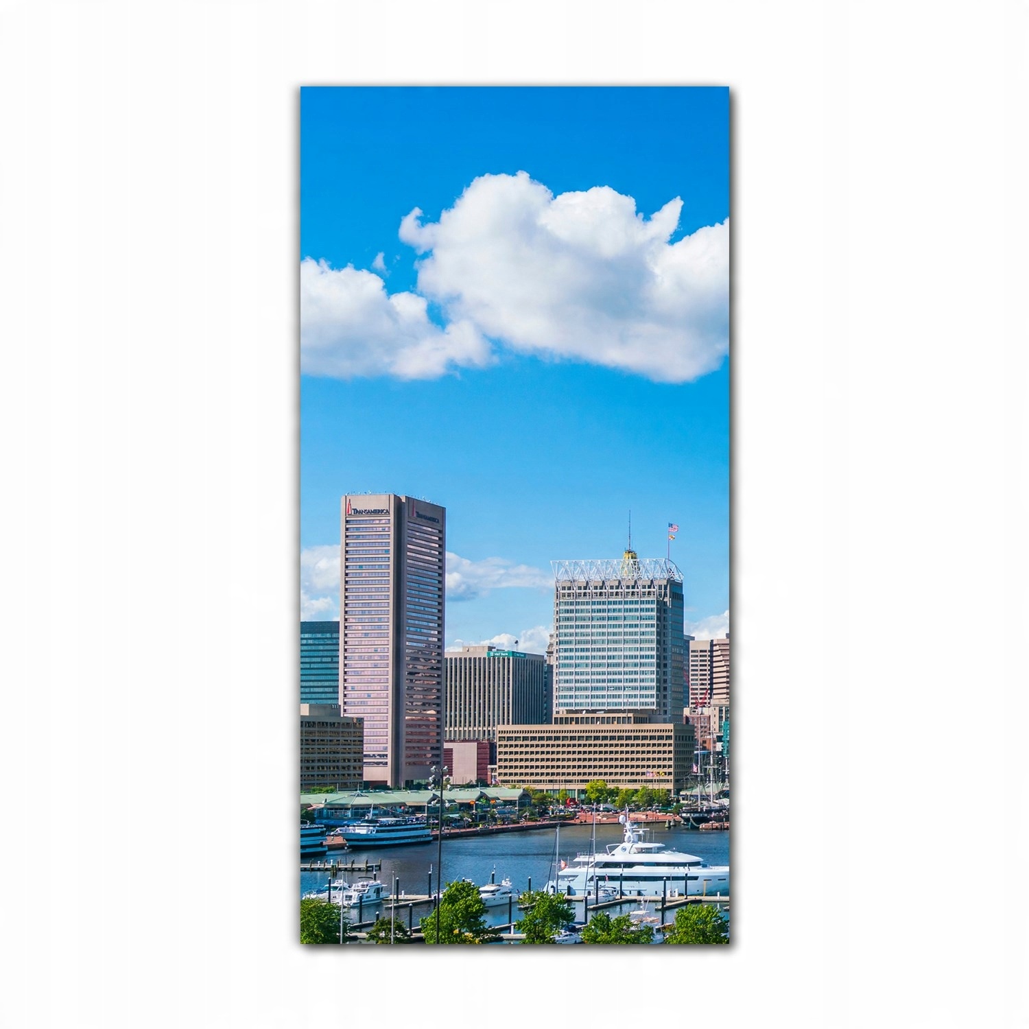 

Foto szklane na ścianę 70x140 Maryland Usa niebo