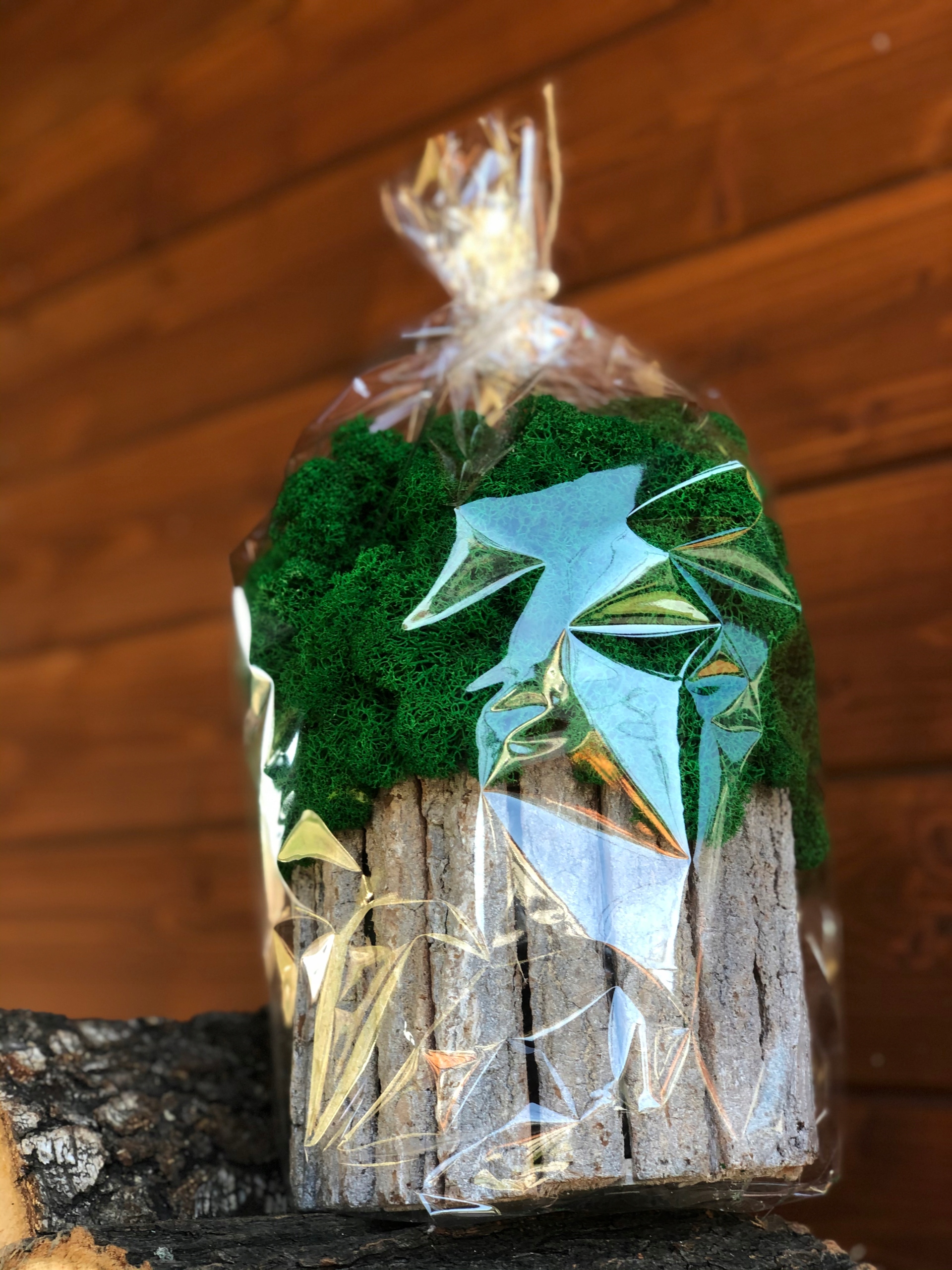 MECH CHROBOTEK STROIK OZDOBA MODA DEKORACJA DOM Kolor butelkowy zielony