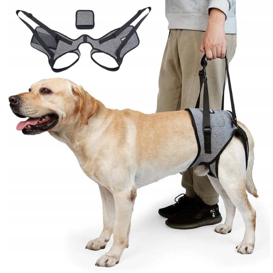 Levně Postroje Pro Psa Zelki Nastavitelné, Silné, Bez Tlačení, Pohodlné, Kvalitní Velikost XL