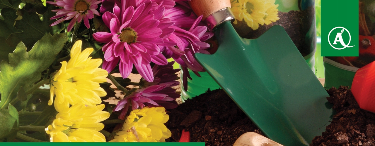 MAGUS 200 SC 500 ML NA PRZĘDZIORKA PRZĘDZIORKI WSZYSTKIE STADIA ROZWOJOWE Producent K&M