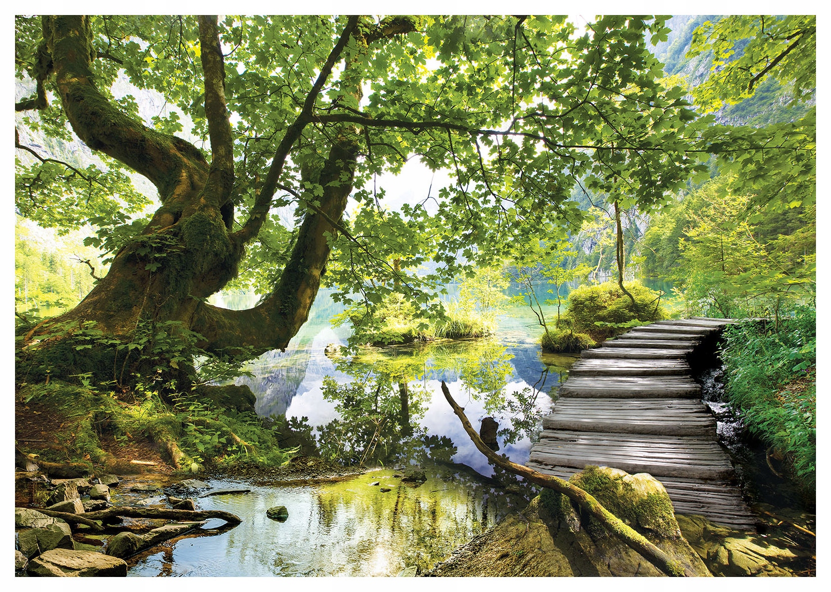 Fototapeta Jazero v lese hory stromy príroda vinyl 368x254 interiér lepidlo