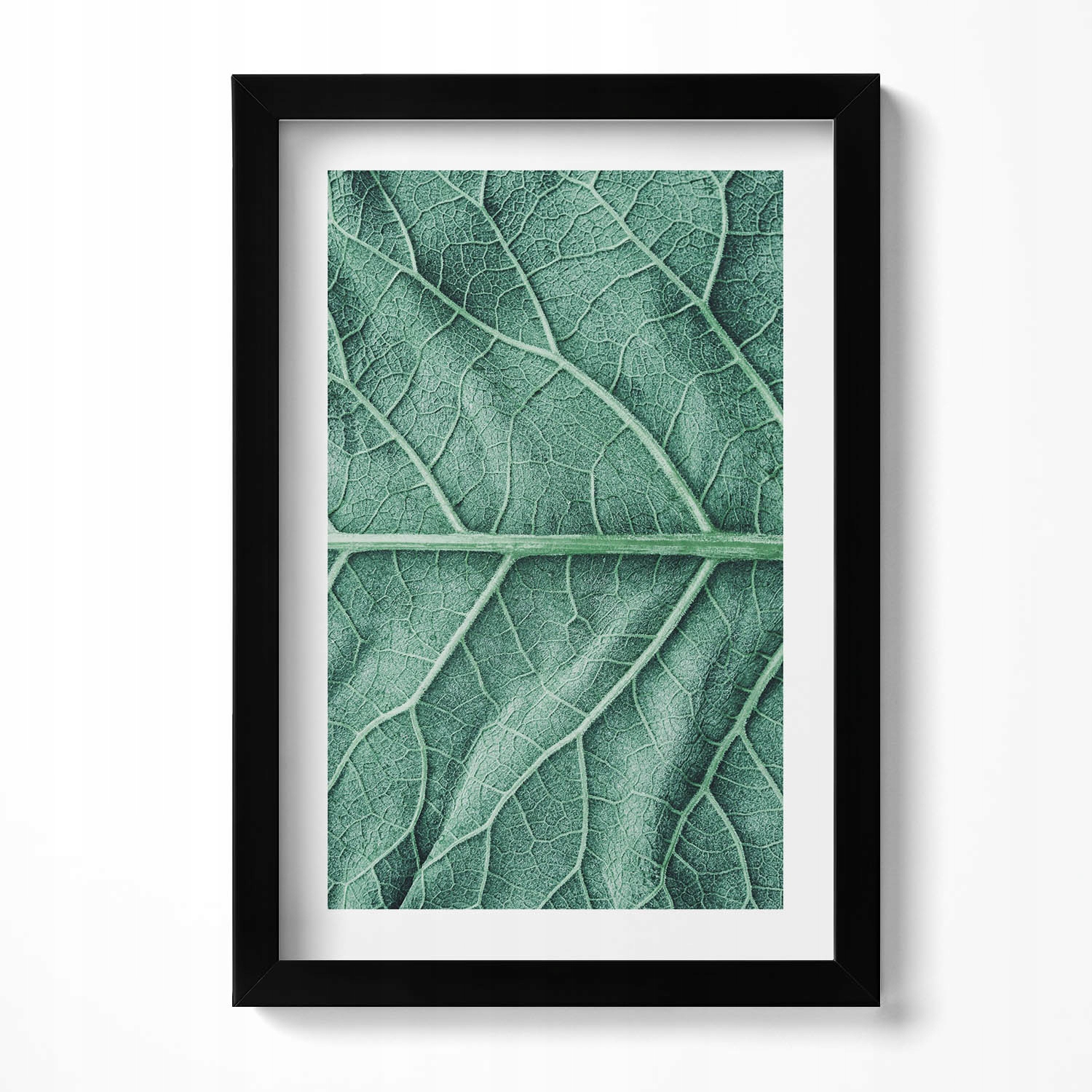 Dekorativní nástěnný obraz v rámu do obývacího pokoje Zblízka na žilky listu 20x30 cm