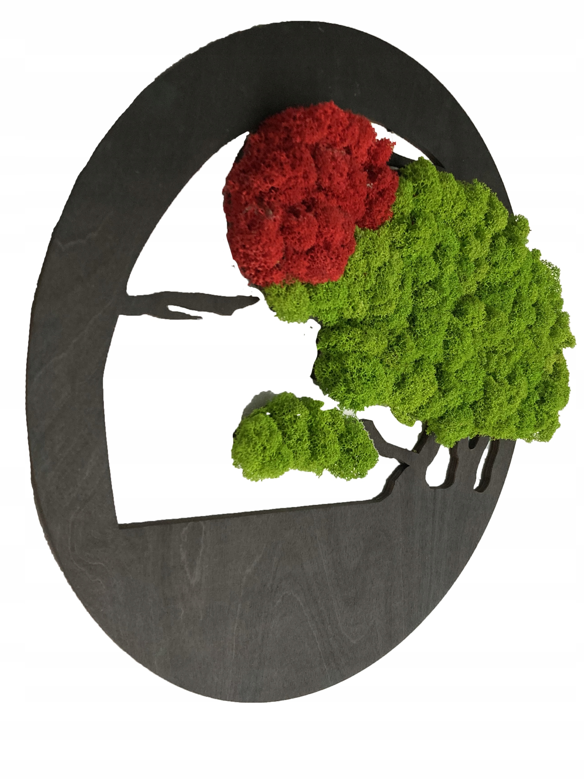 Drzewko NA PREZENT mech chrobotek OBRAZ na ściane drzewko BONSAI 40 Sposób wykonania ręcznie malowane