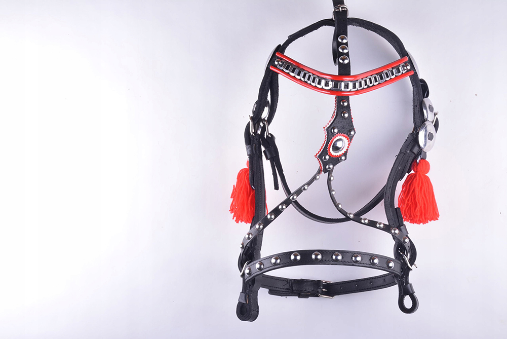 OGŁOWIE DO ZAPRZĘGU SKÓRZANE ROZ FULL I EXT FULL Model OGŁOWIE