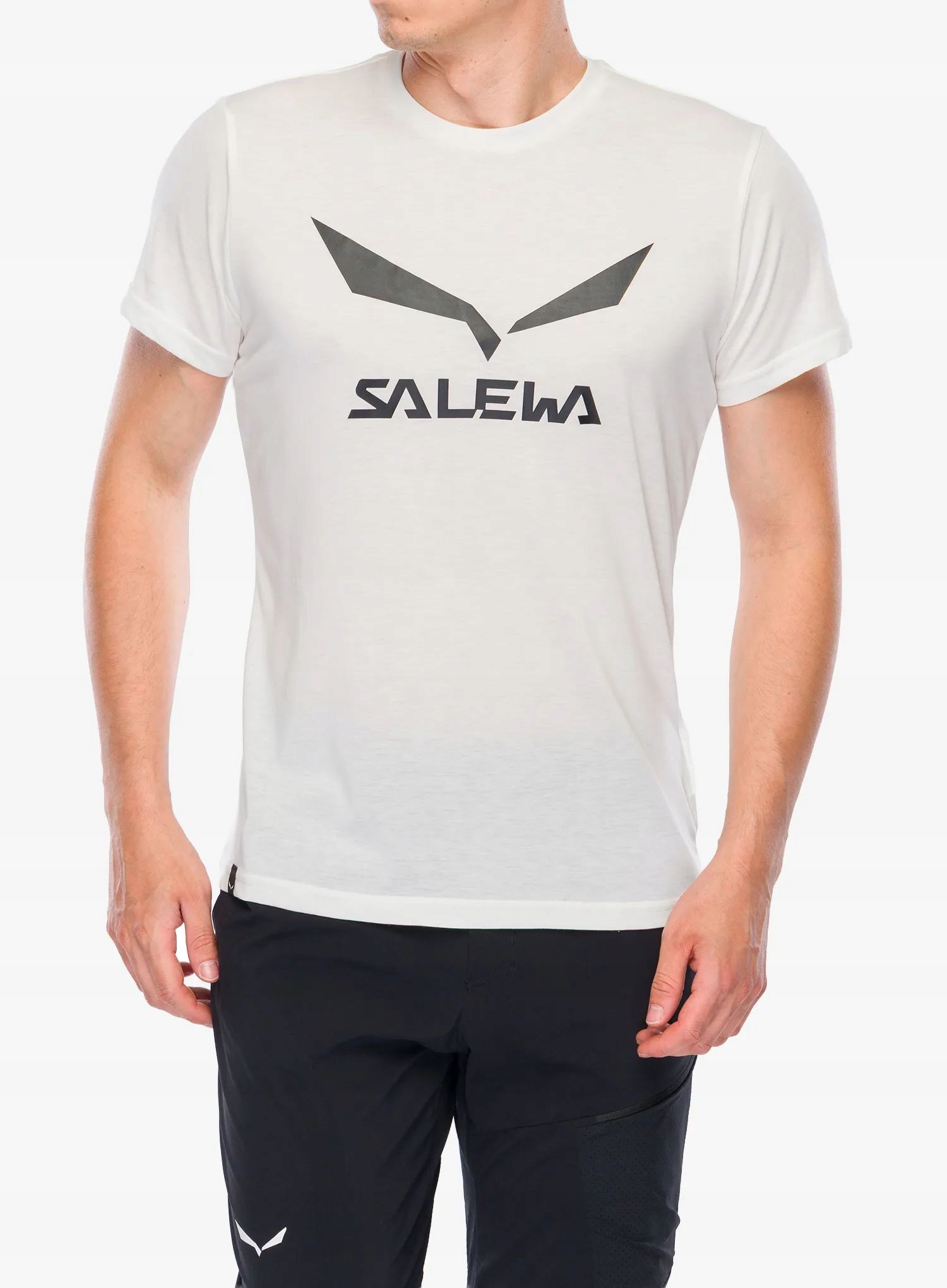 Rychleschnoucí tričko Salewa Solidlogo Dry T-shirt bílá S
