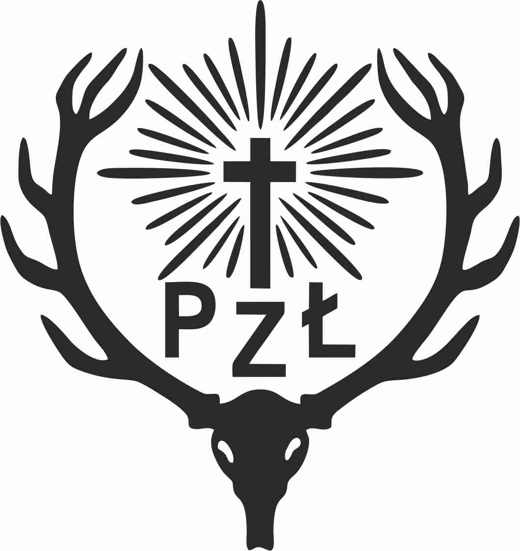 Naklejka na samochód Logo Pzł Czarny