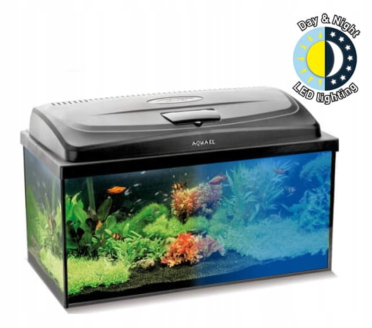 

Akwarium 60 Led Czarne 54L Full Wyposażenie