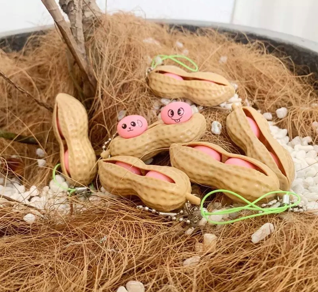 BRELOK ZABAWKA ANTYSTRESOWA ORZECH Popit bąbelki Rodzaj gniotki