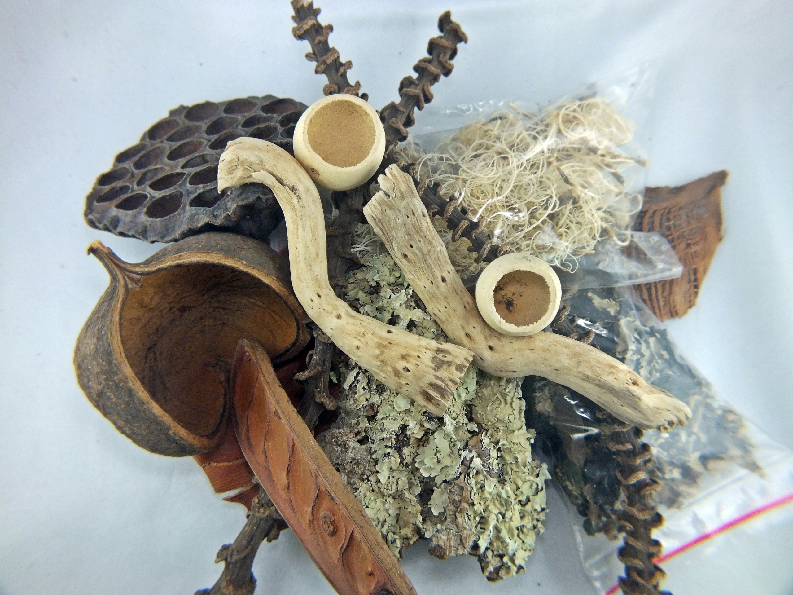 Zestaw wystroju do terraiów (SpidersForge)