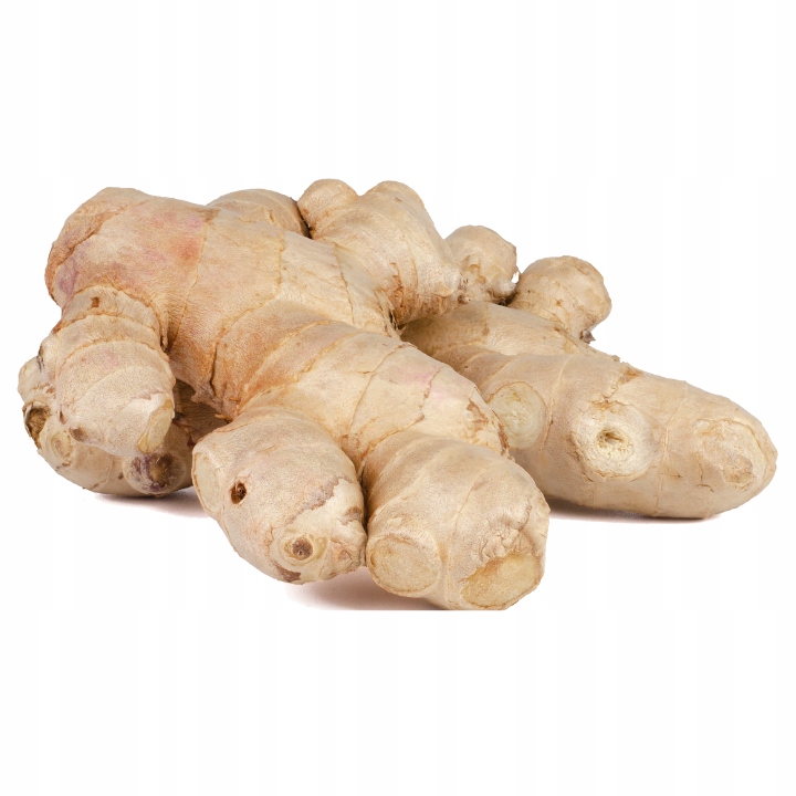 Imbir świeży opakowanie 5 kg