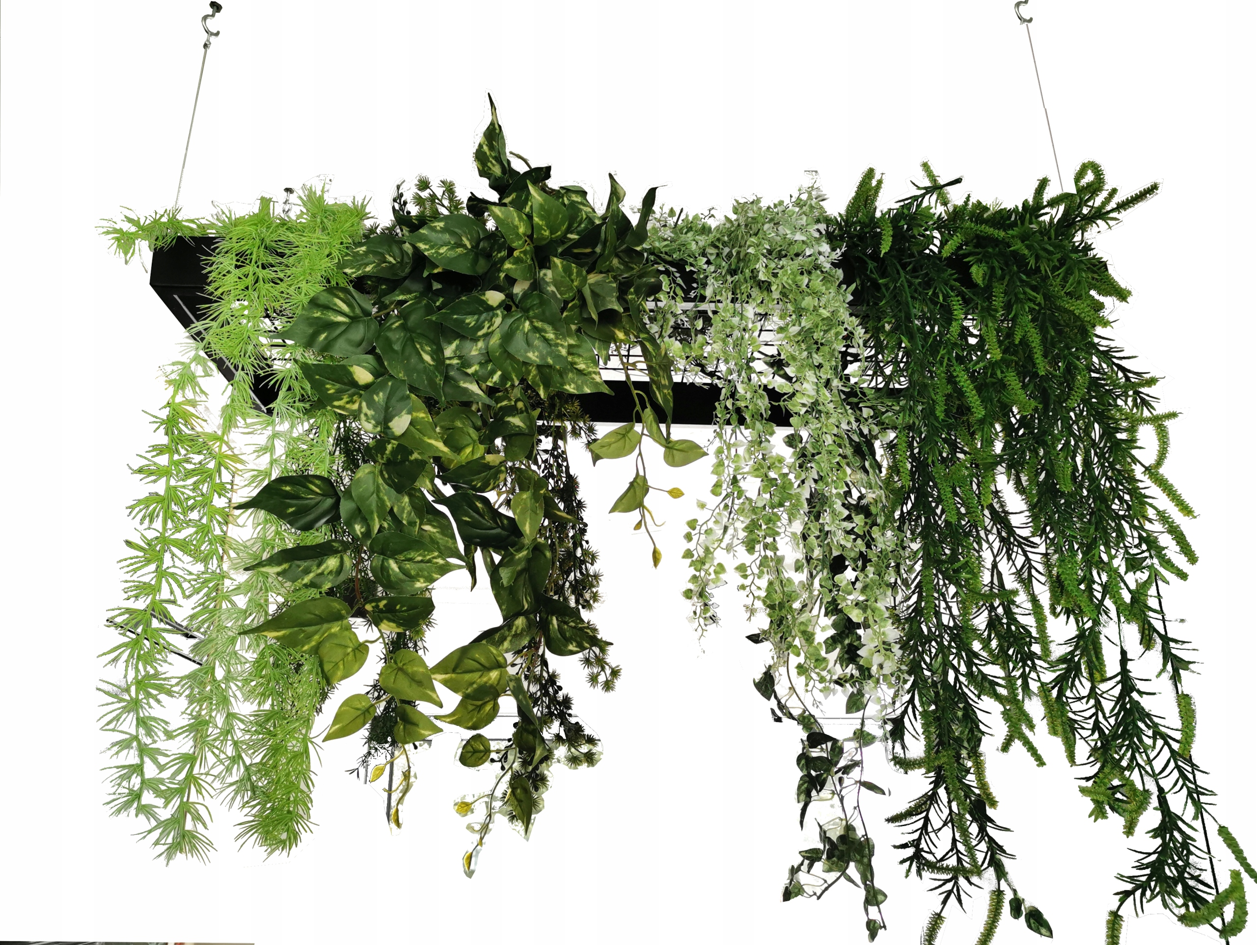 

Półka wisząca/sufitowa/lkwietnik do lokali usług.