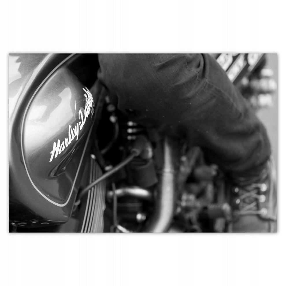 

Plakaty 93x62 Harley Davidson Motocykl