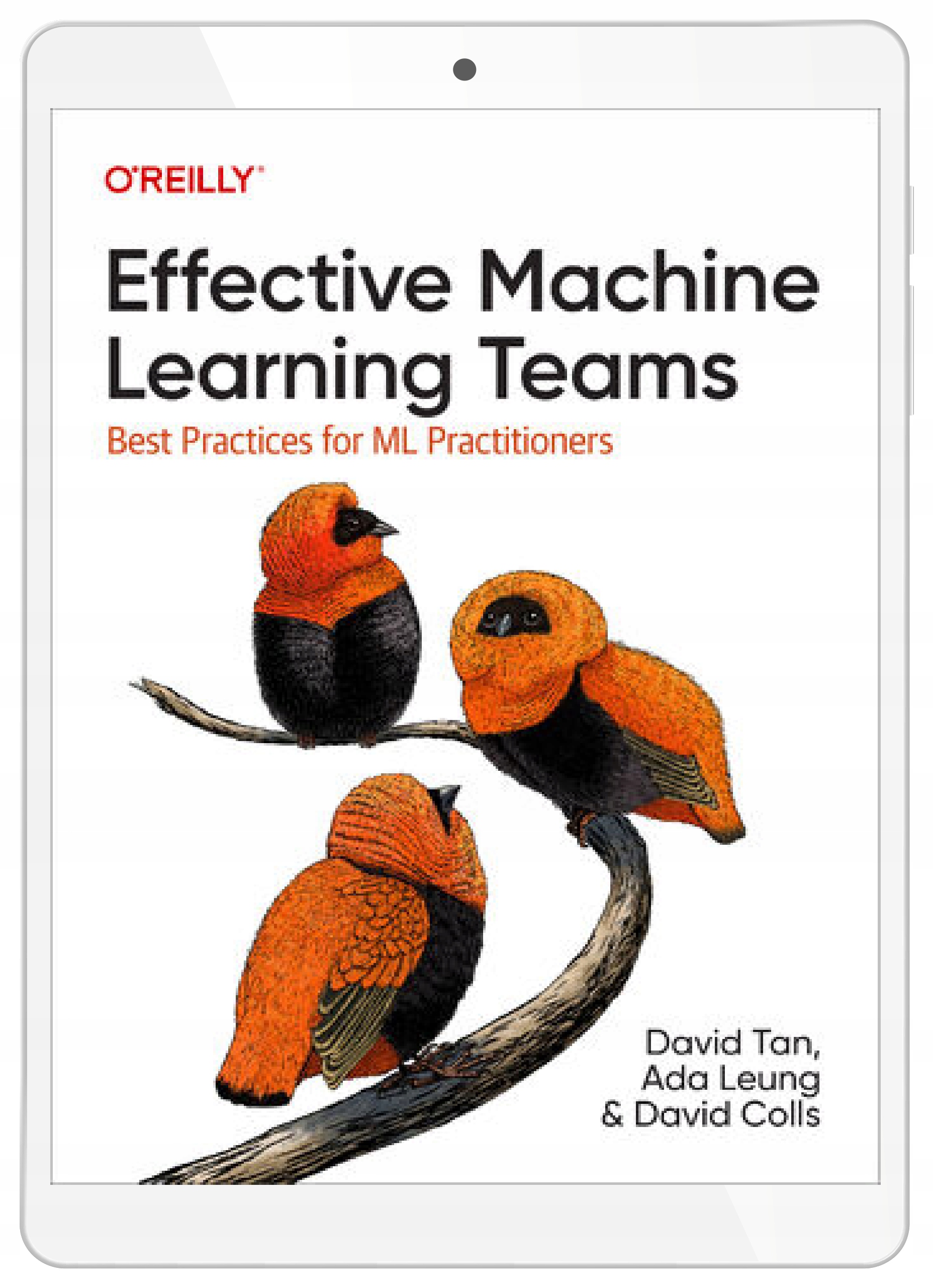 Effective Machine Learning Teams