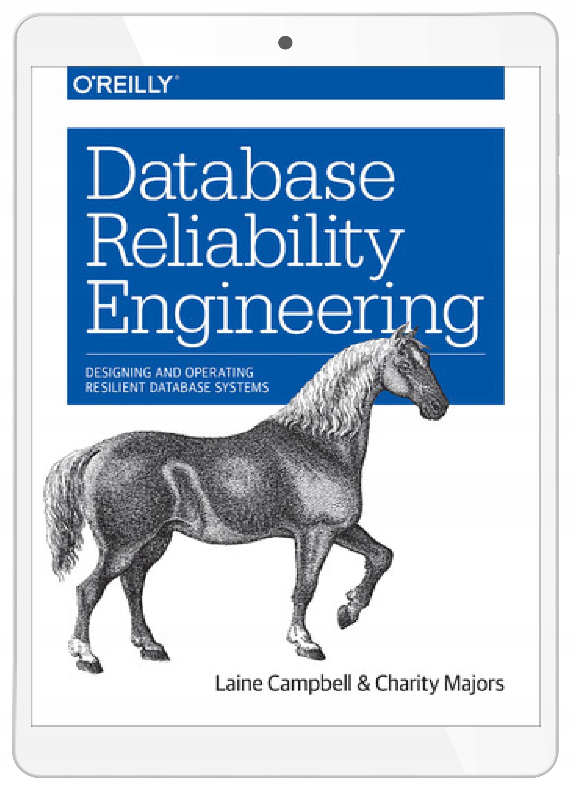 Database Reliability Engineering. Designing and