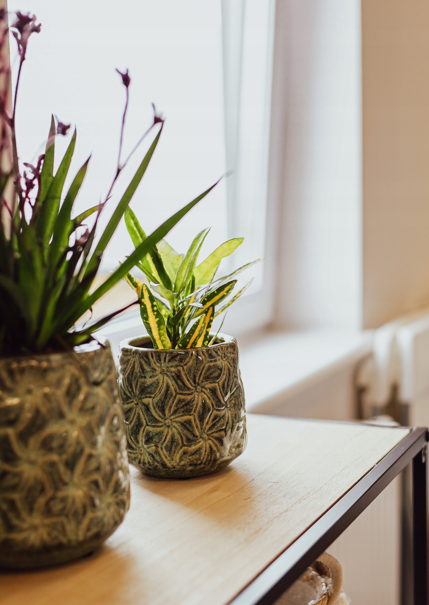 Osłonka ceramiczna IVY S 12×12cm Kolor zielony