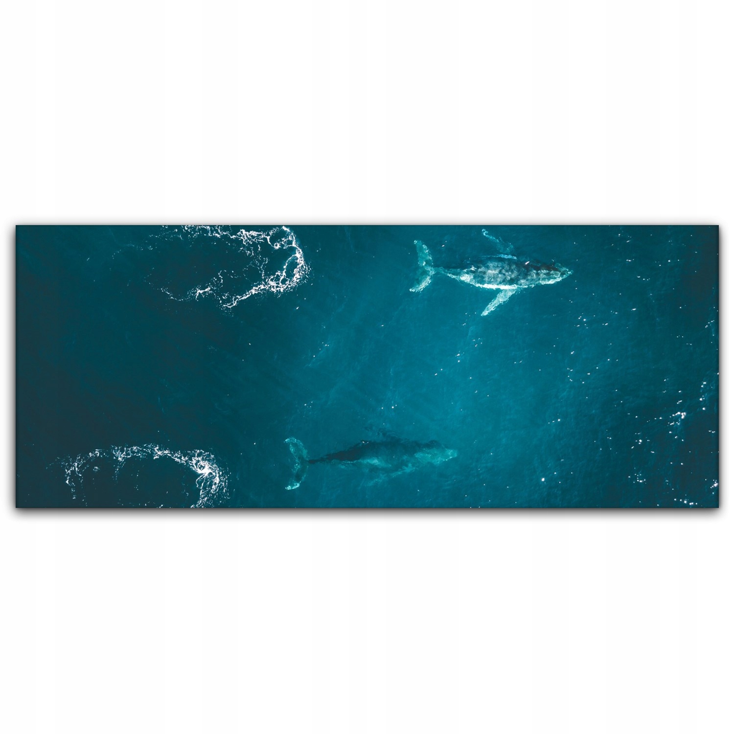 

Obraz Canvas dekoracja 125x50 Wieloryb Ocean Morze