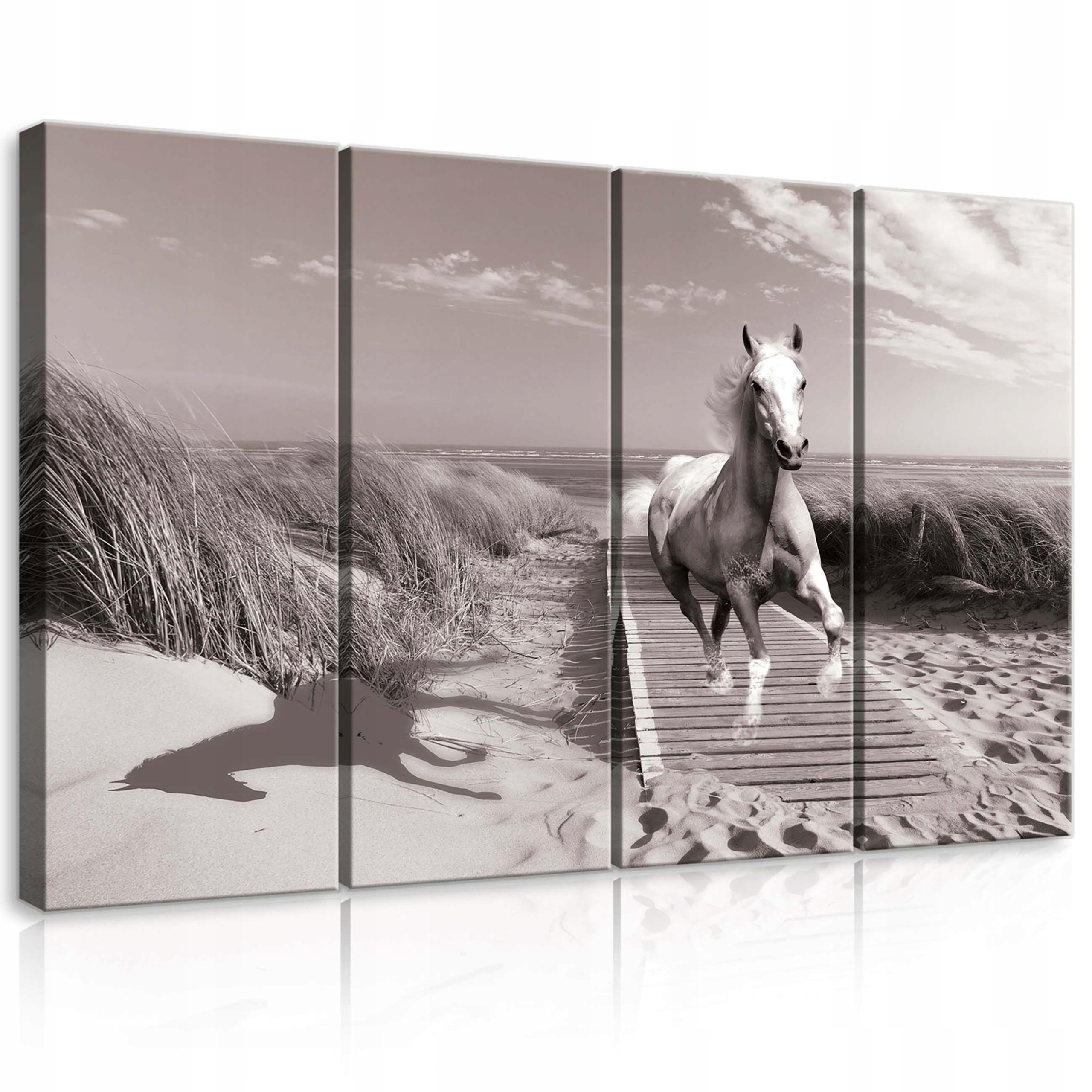 Obraz 120x80 Biely kôň cval pláž duny sloboda príroda pohyb energia
