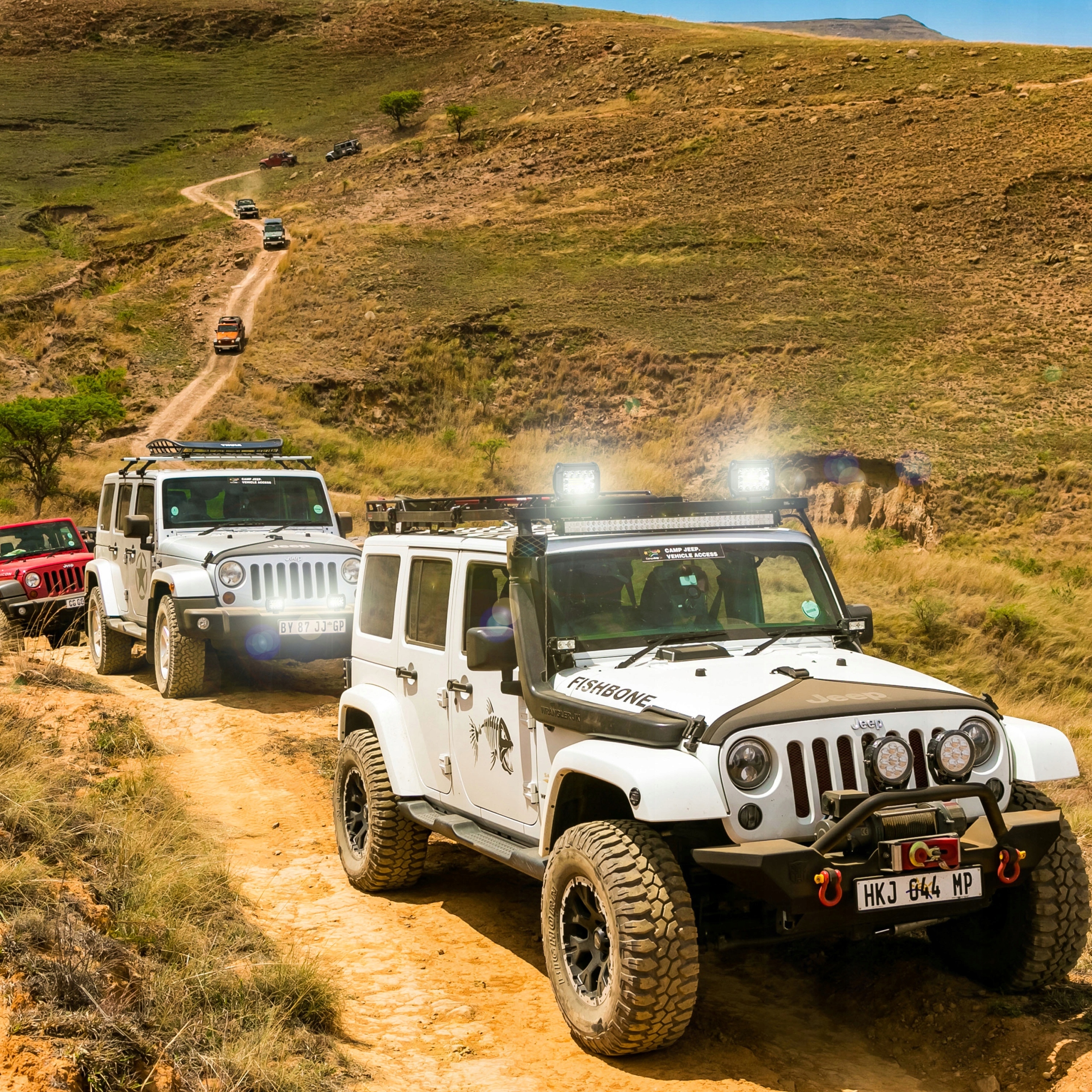 LAMPA 20 LED ROBOCZA HALOGENOWA 60W 4SZT 12V Wersja Europejska