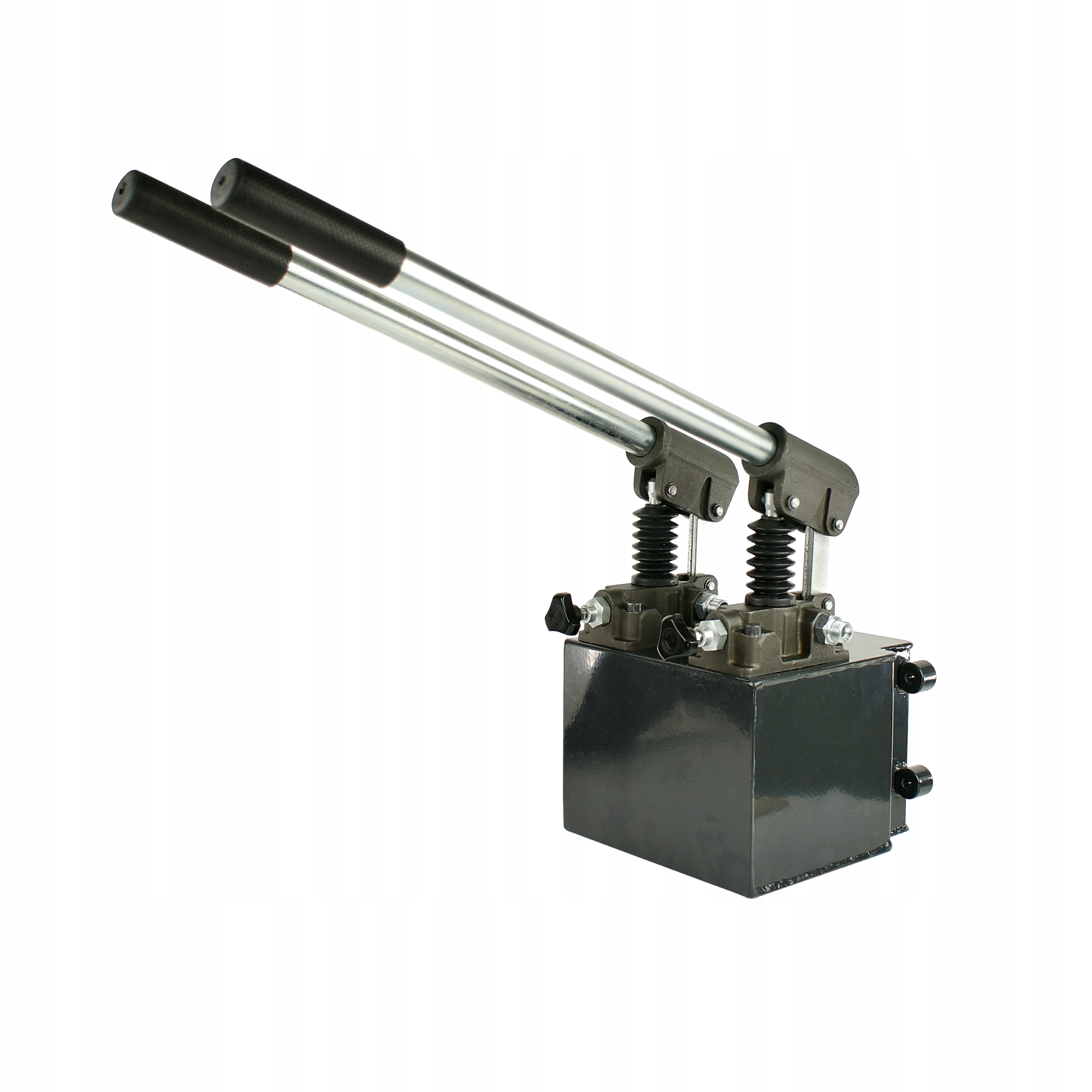 A1.40.94.06.2525 - ДВА РУЧНЫХ НАСОСА 2XPRB25 RPD6 BADESTNOST