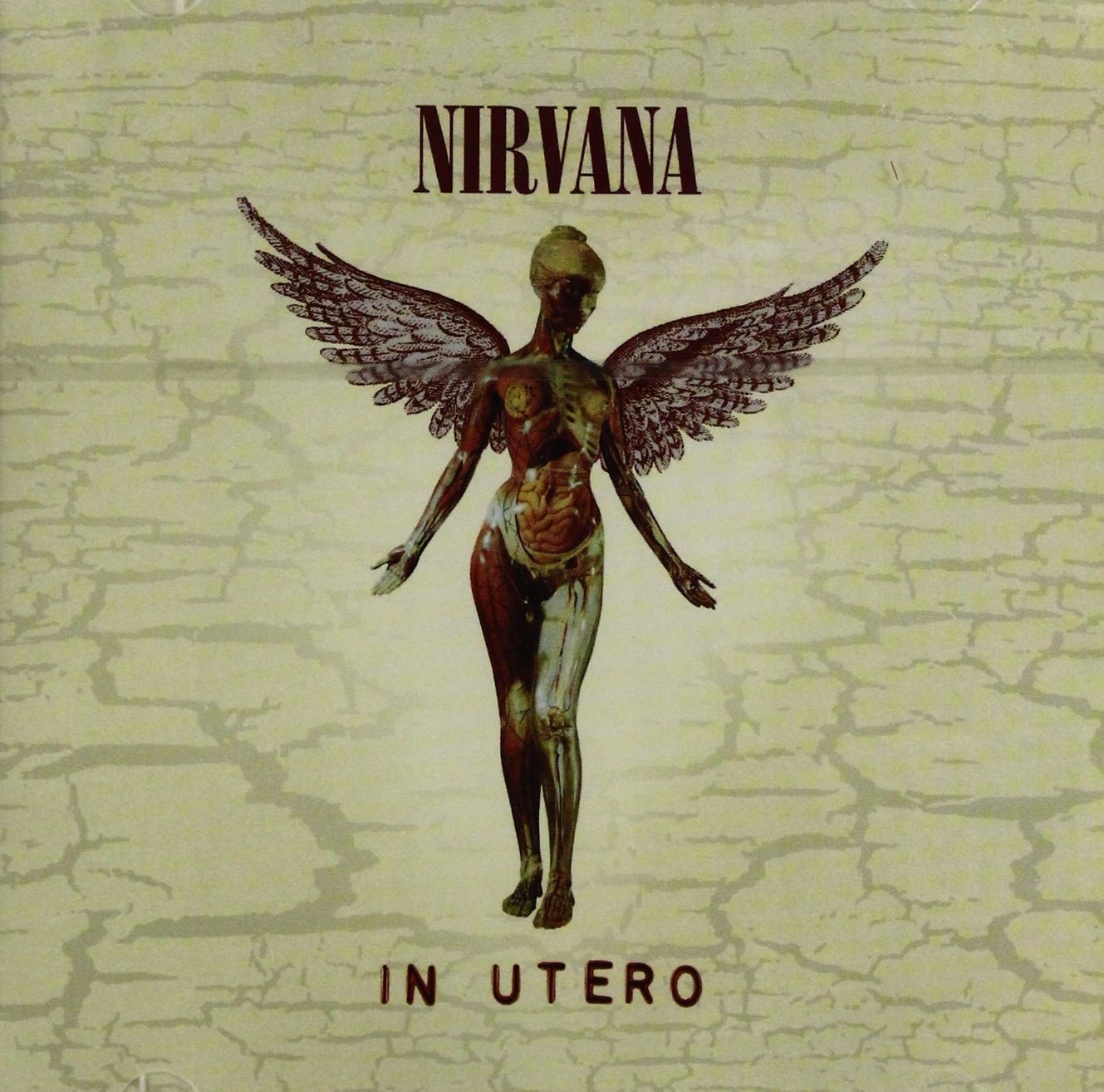 

Nirvana: In Utero 20TH Anniversary (remaster) (C