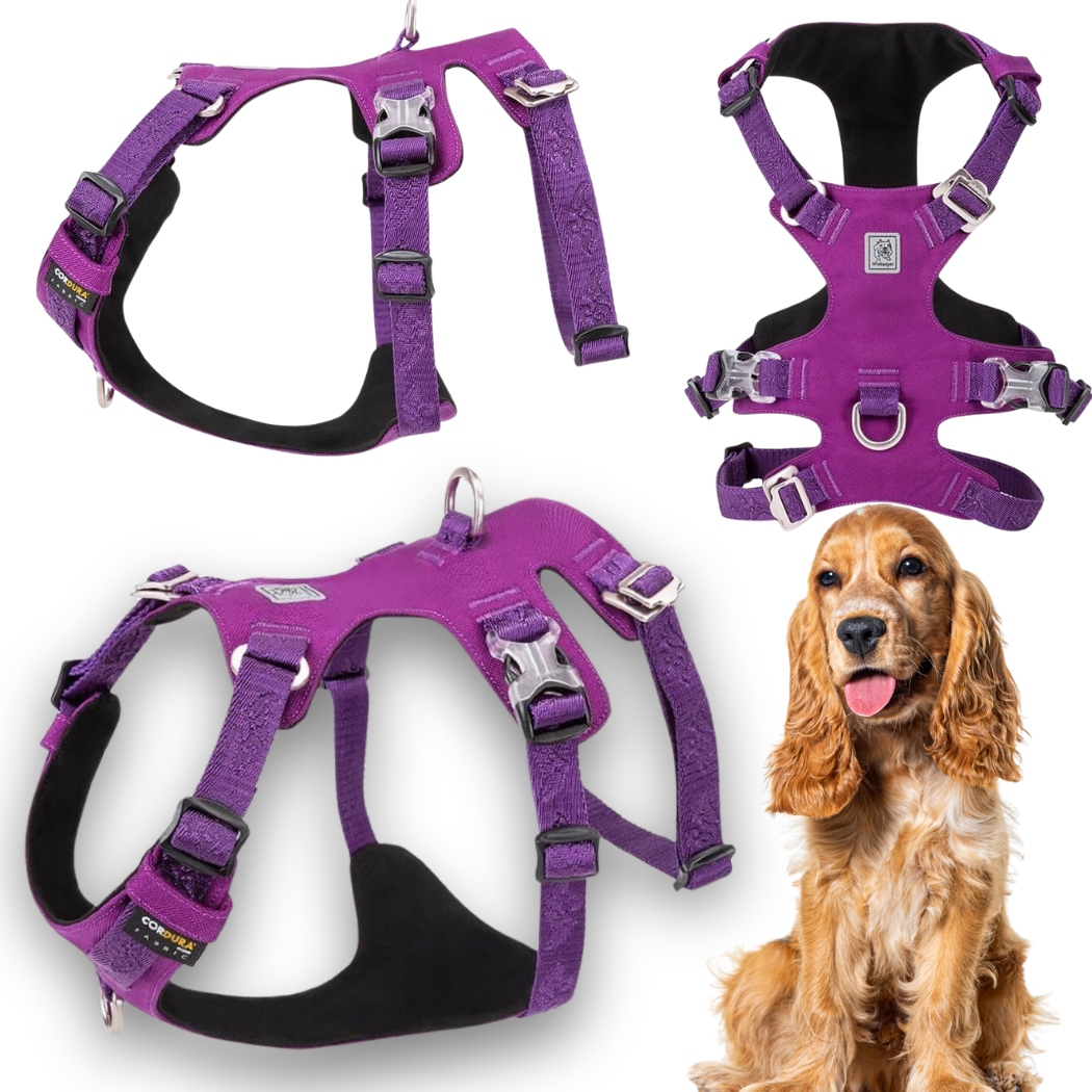 Levně Protiúnikové Obojky Pro Psa Voděodolné Winhyepet Escape Soft Fialové M