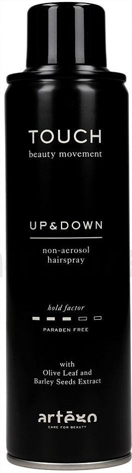 

Artego Touch Up And Down Lakier 400ml Bez Aerozolu