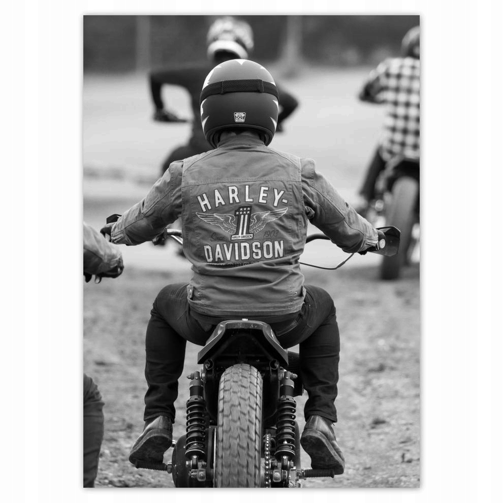 

Naklejki 50x70 Harley Davidson Motocykl