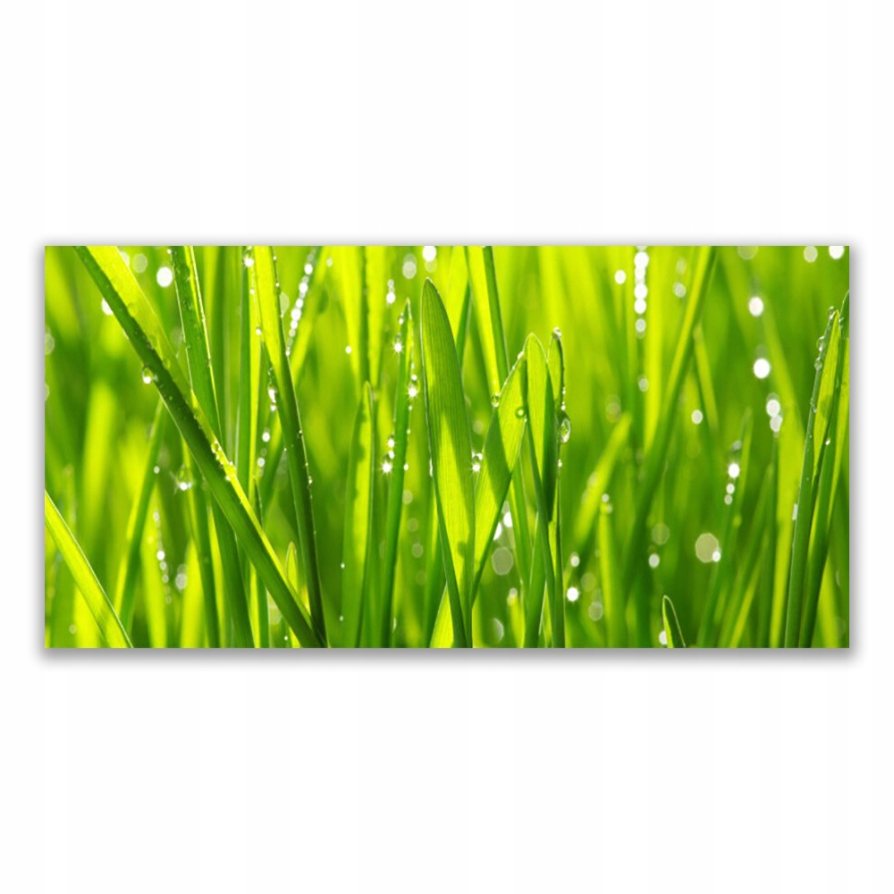 

Fotoobraz na prezent 120x60 Trawa Roślina Natura