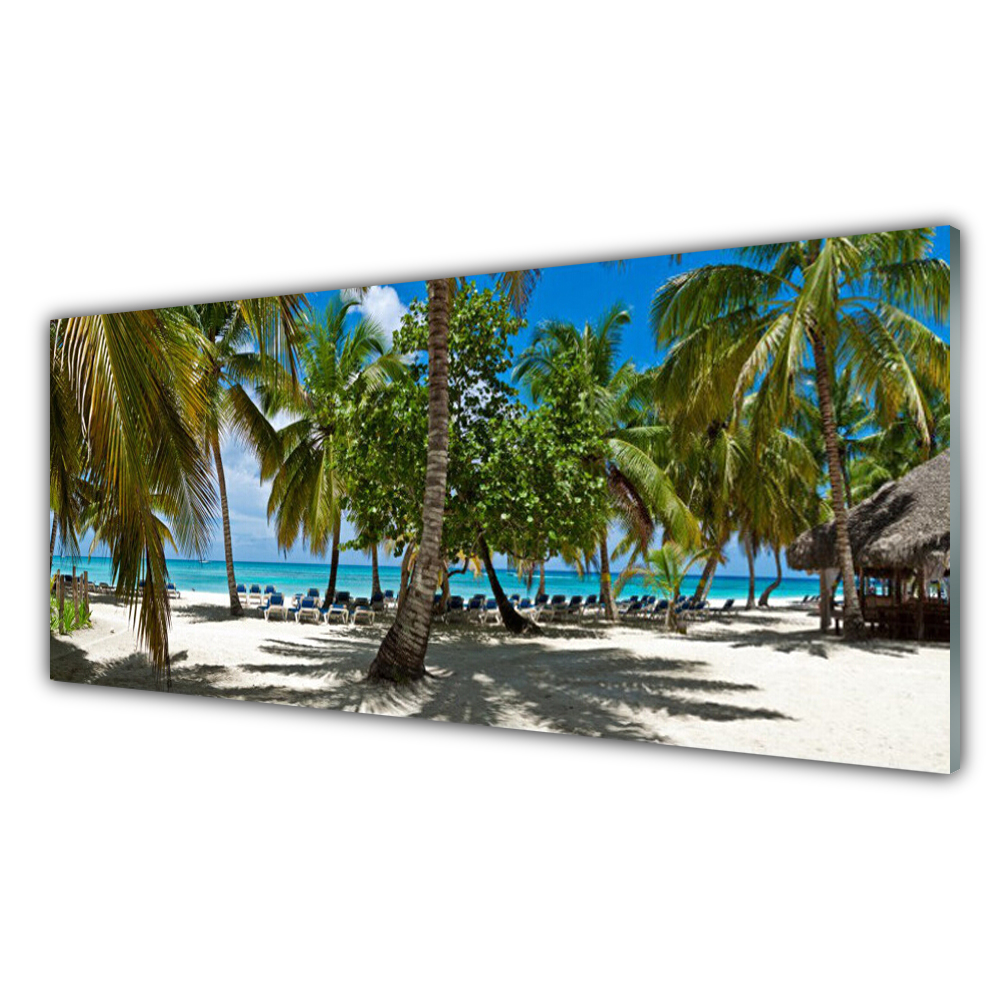 

Obraz akrylowy 125x50 Plaża Palma Drzewa Krajobraz