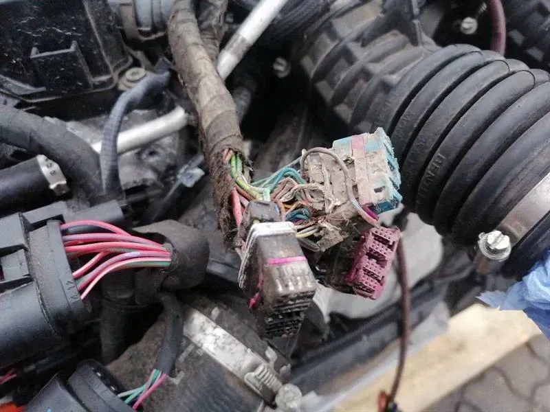 Bentley CONTINENTAL GT 2018-2024 3S 3SD бензин 4.0 V8 971