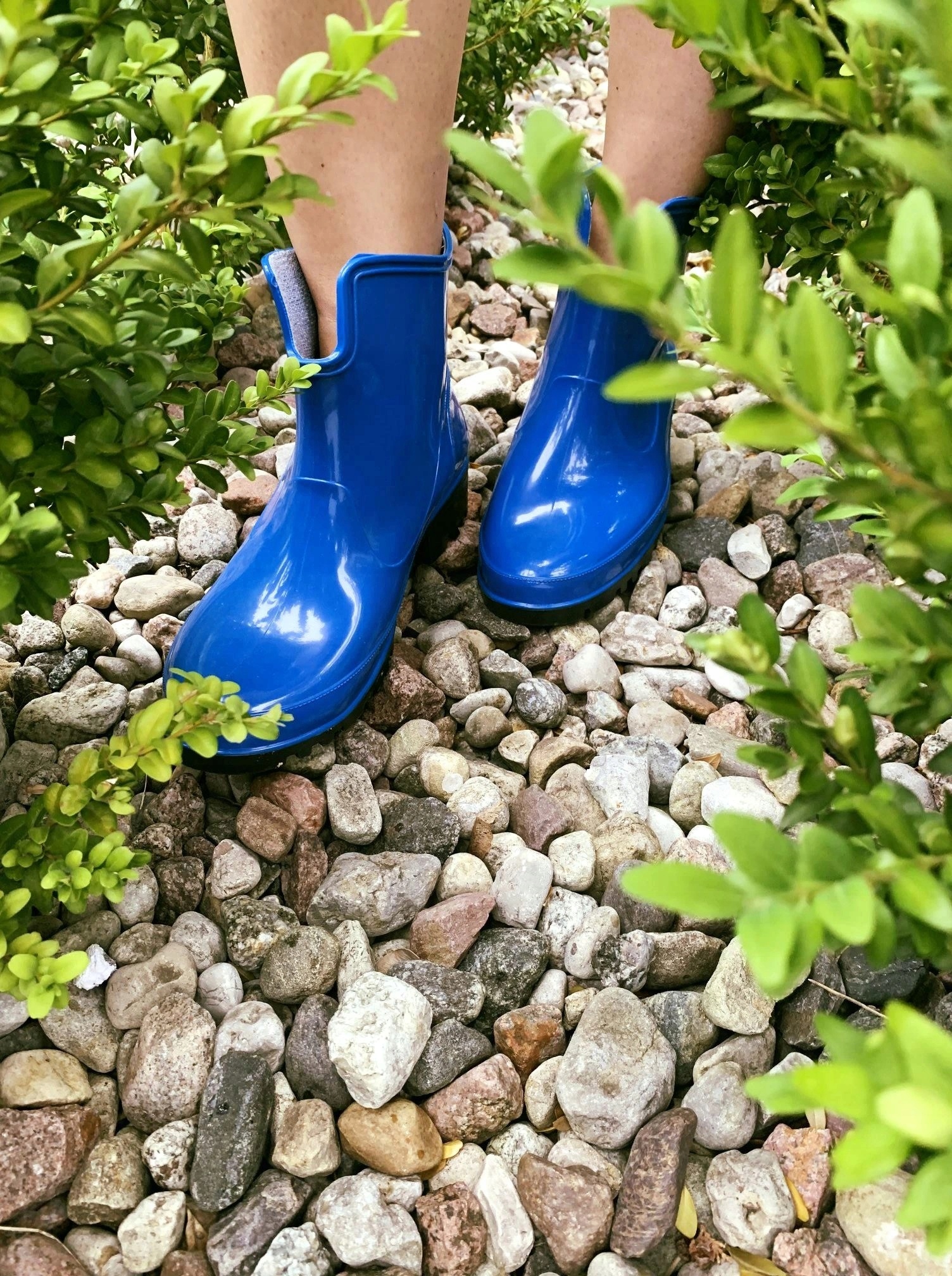 KALOSZE DAMSKIE BUTY MELISKI BOTKI LEMIGO ELKE 41 Wzór dominujący bez wzoru