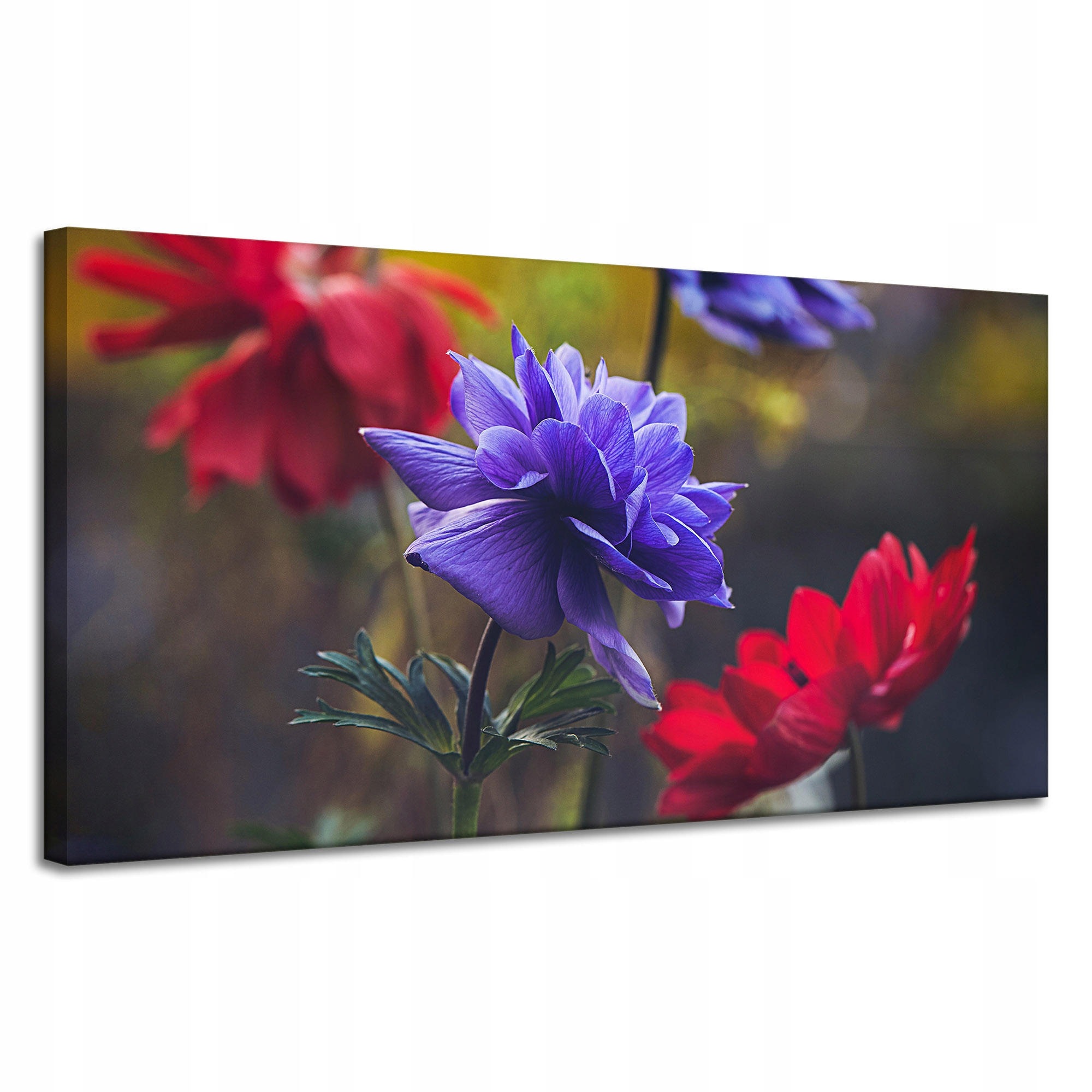 Obraz na plátně Botanika Květiny v zahradě 120x60