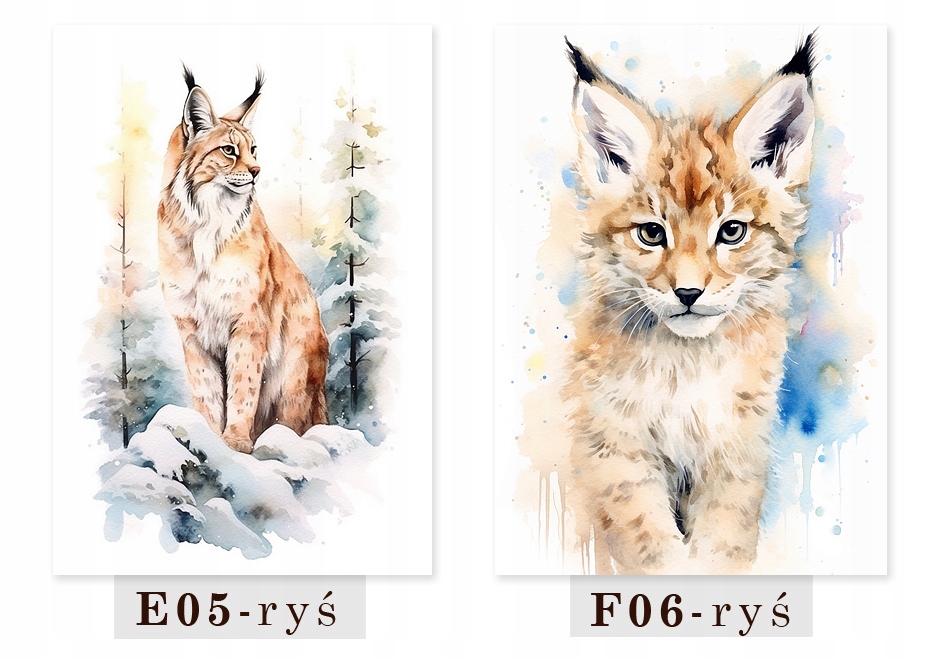 DUŻY PLAKAT OBRAZ DZIECIĘCY ZWIERZĘTA LEŚNE LAS MIŚ SARNA - WZORY A2 40x60 Szerokość produktu 42 cm