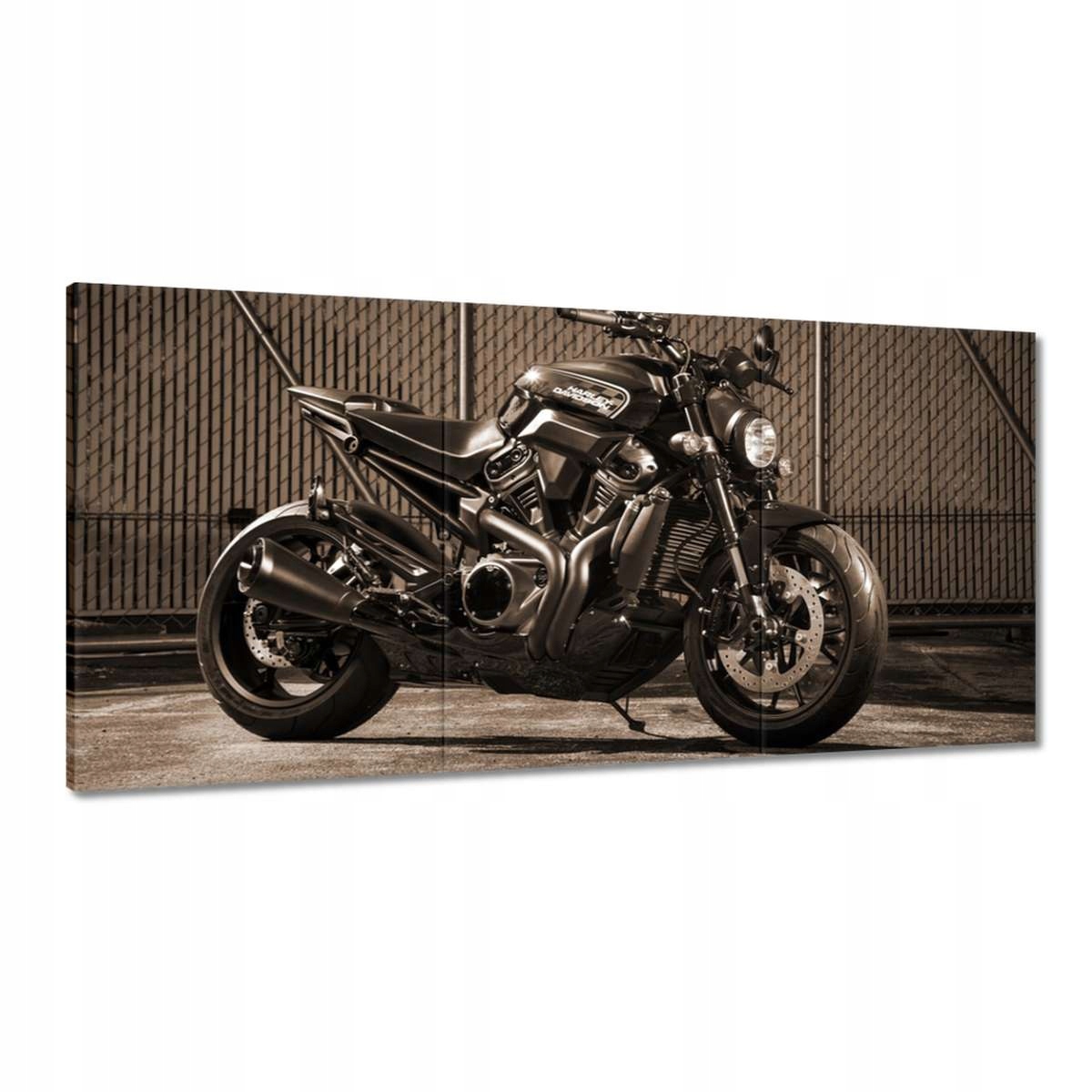 Obrazy 180x90 Harley Davidson Motocykel