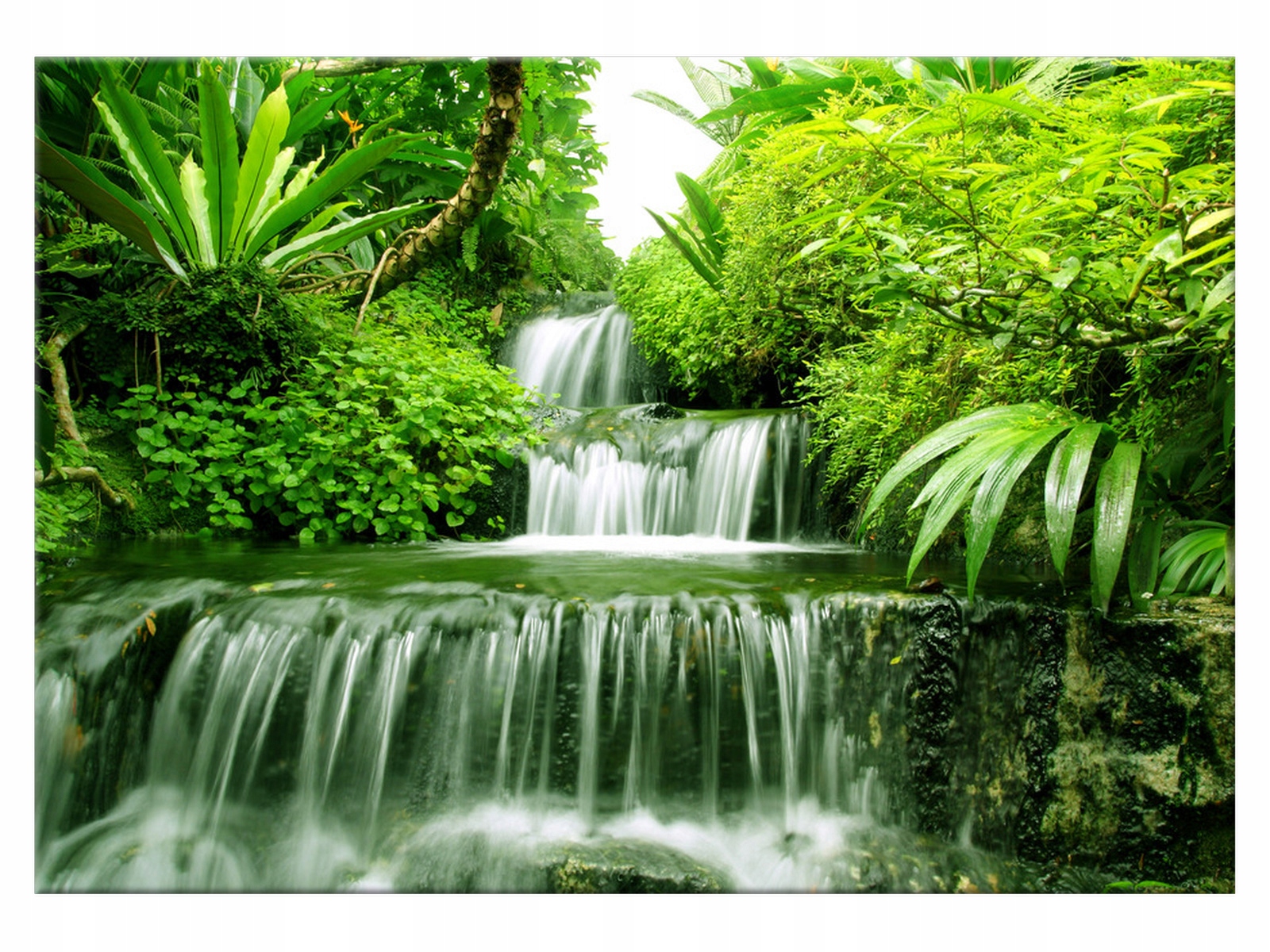 

Obraz Wodospad w lesie deszczowym 100x70 2353A_1Z