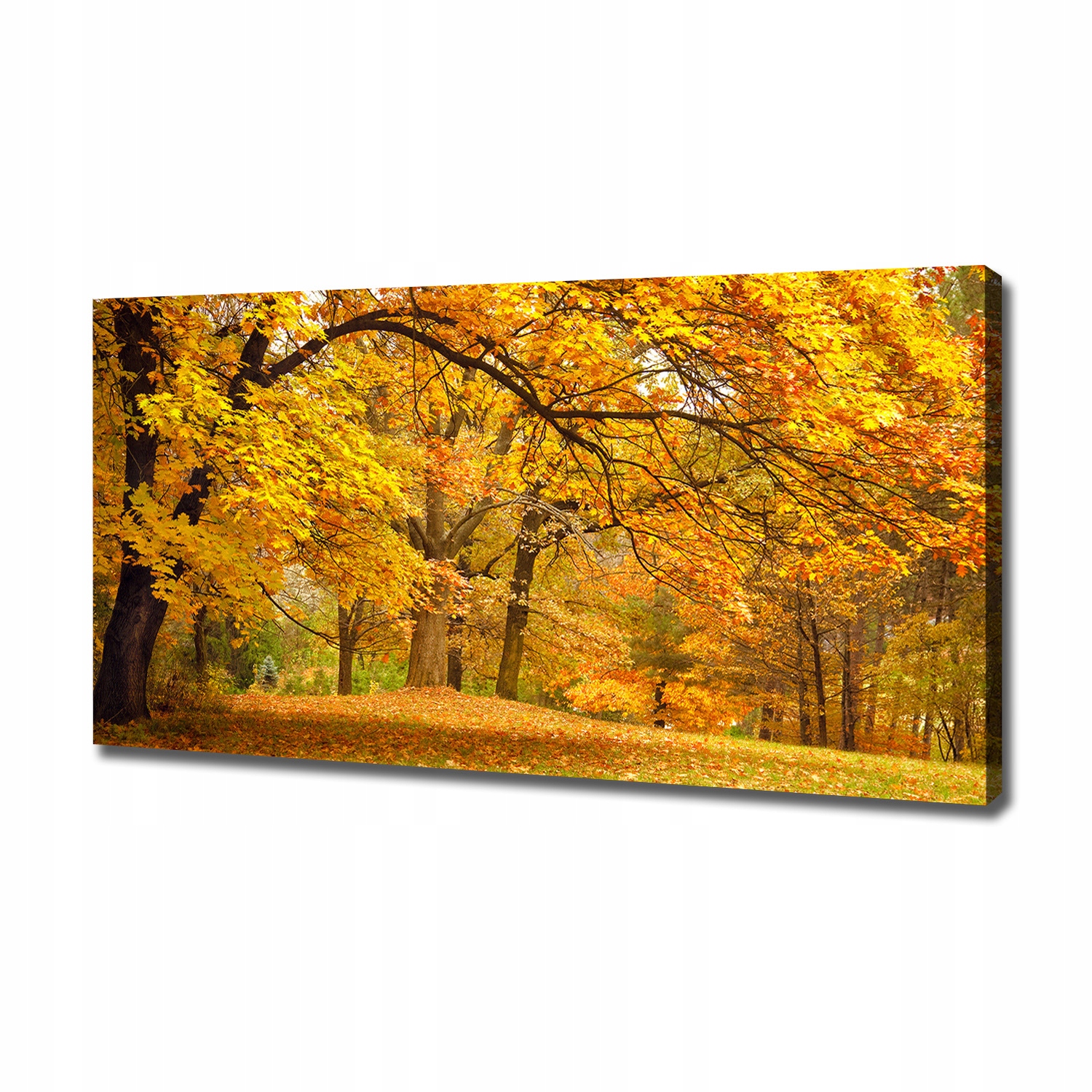 

Foto obraz na płótnie Jesień w parku 120x60 cm
