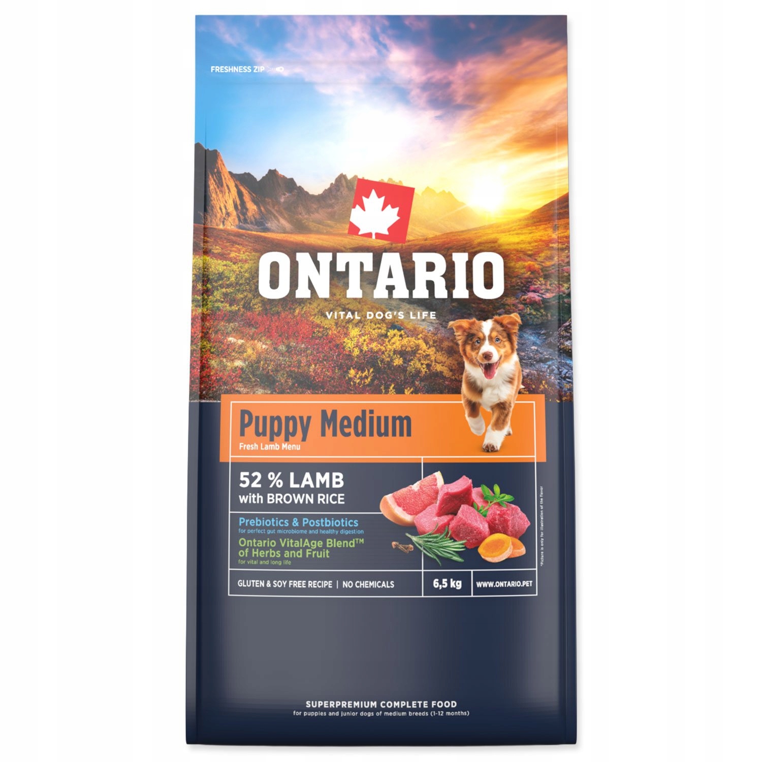 Levně Krmivo Ontario Puppy Medium Lamb & Brown Rice 6,5kg