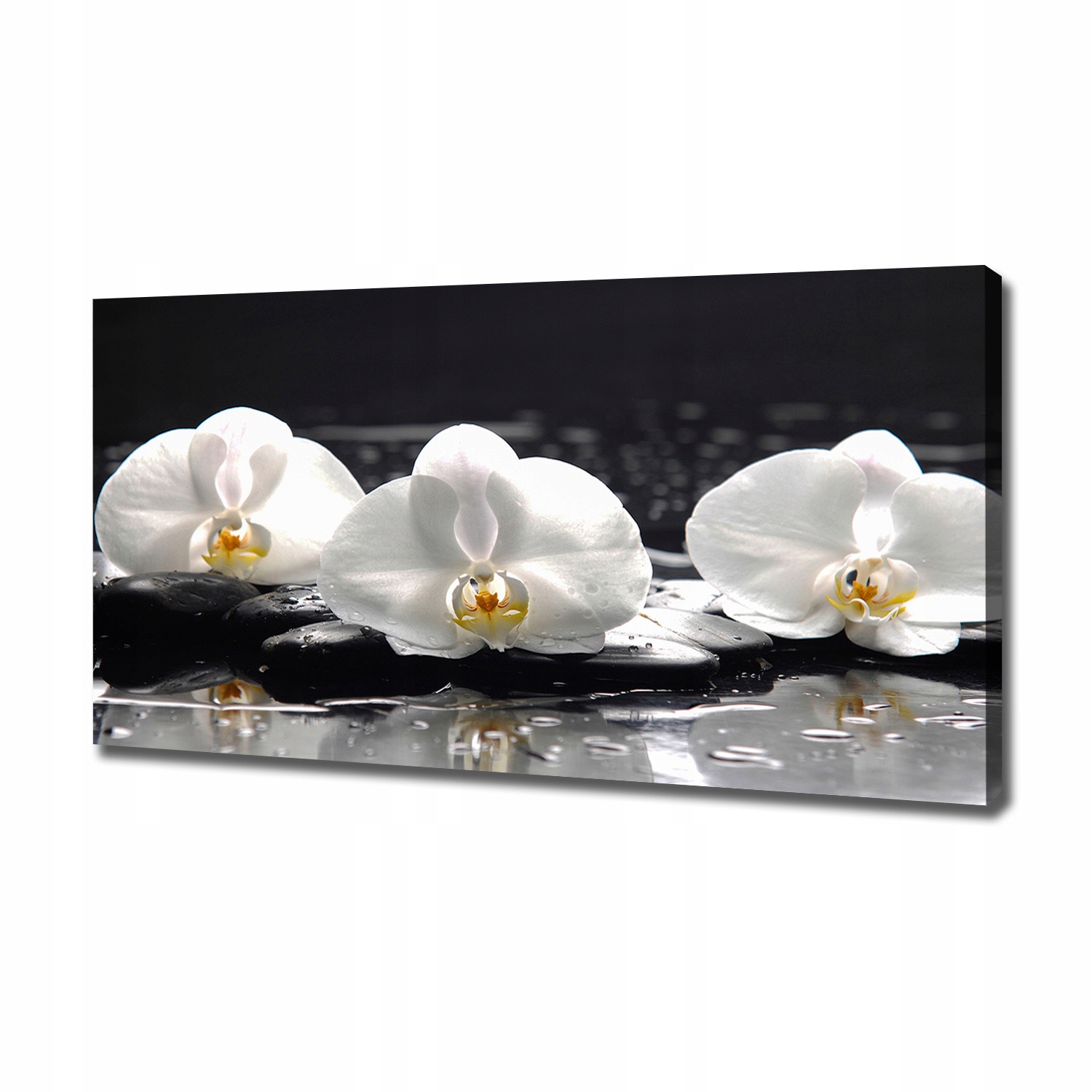 

Foto obraz canvas na ścianę Orchidea 120x60 cm