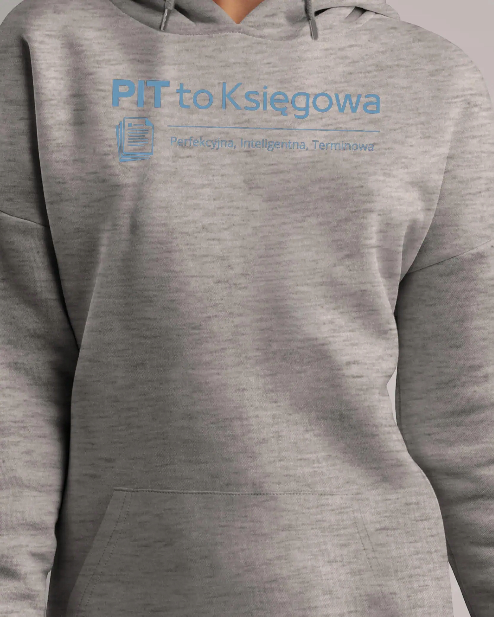 Mikina s kapucí pro účetní Nejlepší účetní Pit Šedá XL