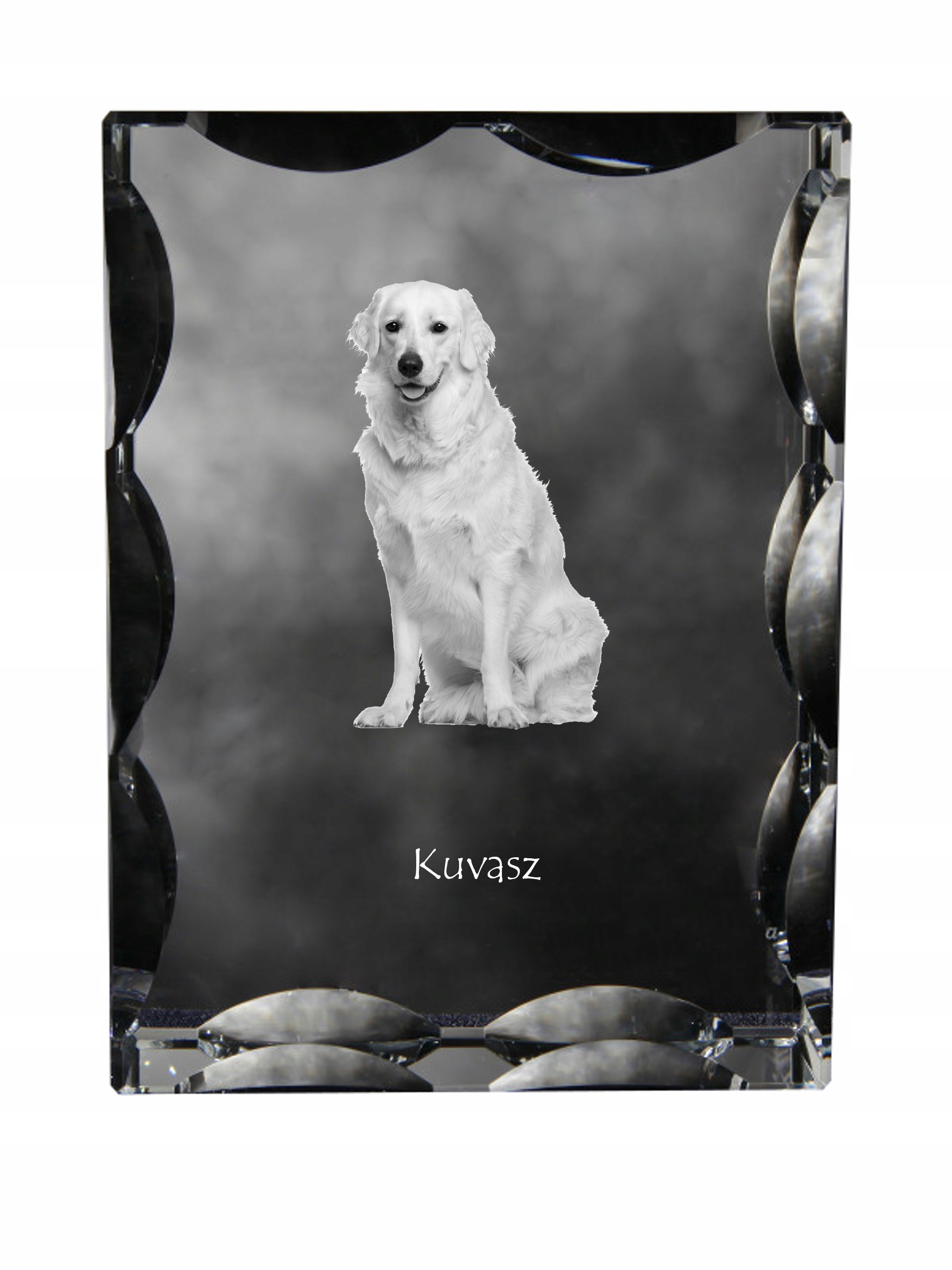 Kuvasz fotografia psa v ozdobnom kryštáli, suvenír, dekorácia domu