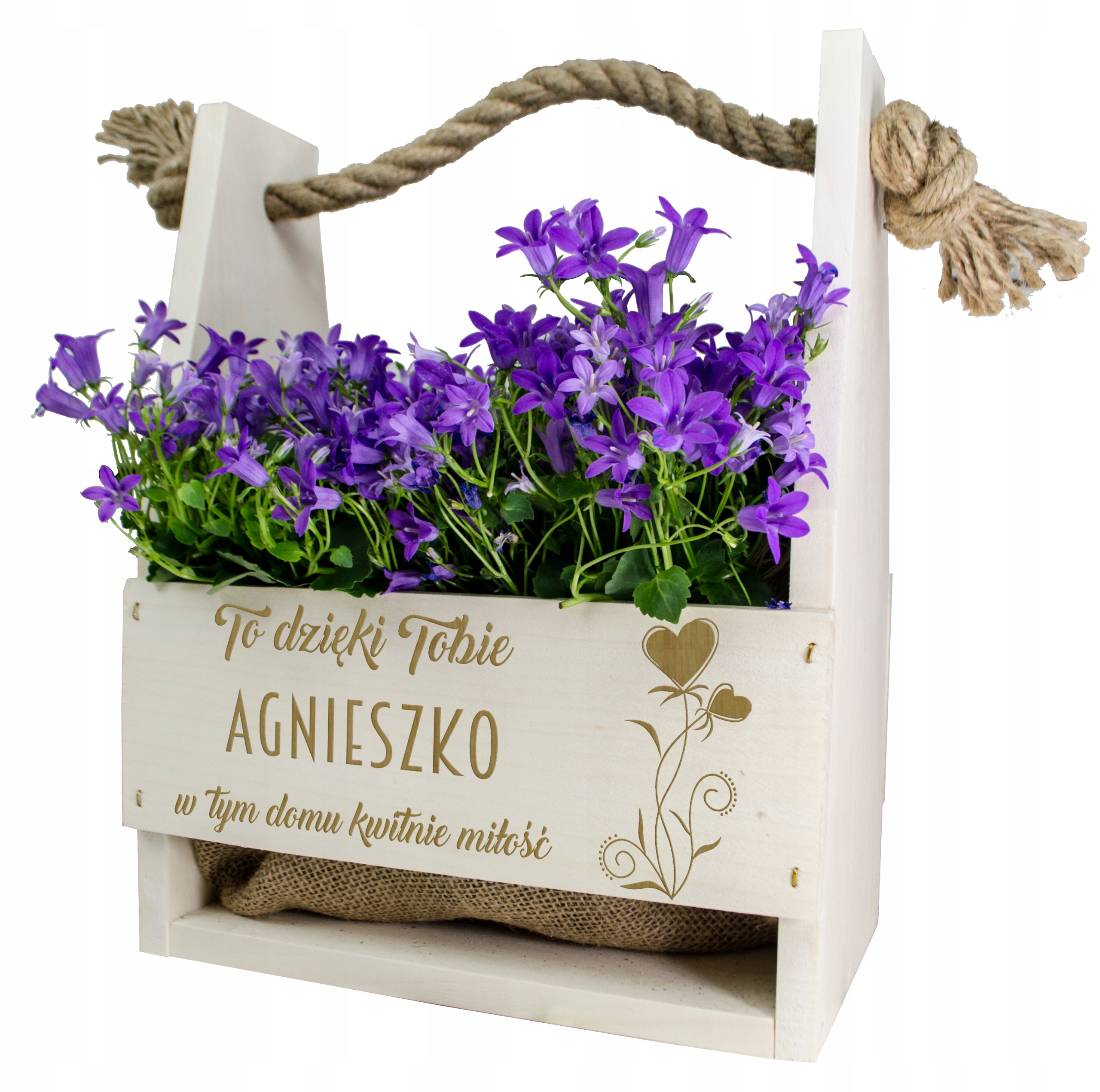 

Doniczka Skrzynka Na Kwiaty Dla Dziewczyny Prezent