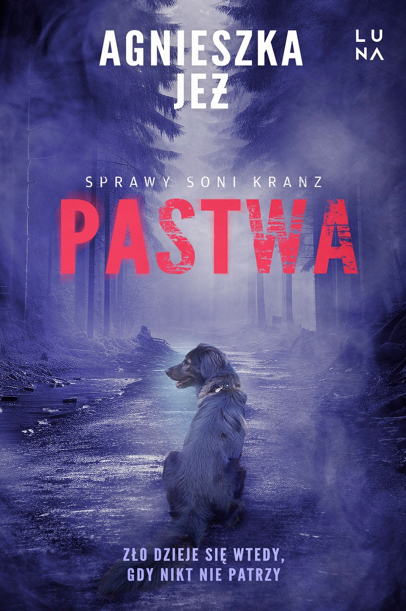 Pastwa. Cykl Sprawy Soni Kranz. Tom 2 - Agnieszka Jeż